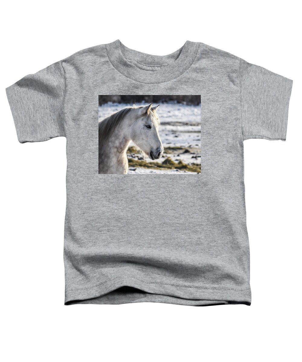 Winter Toddler T-Shirt featuring the photograph Winter Thoughts by Listen To Your Horse