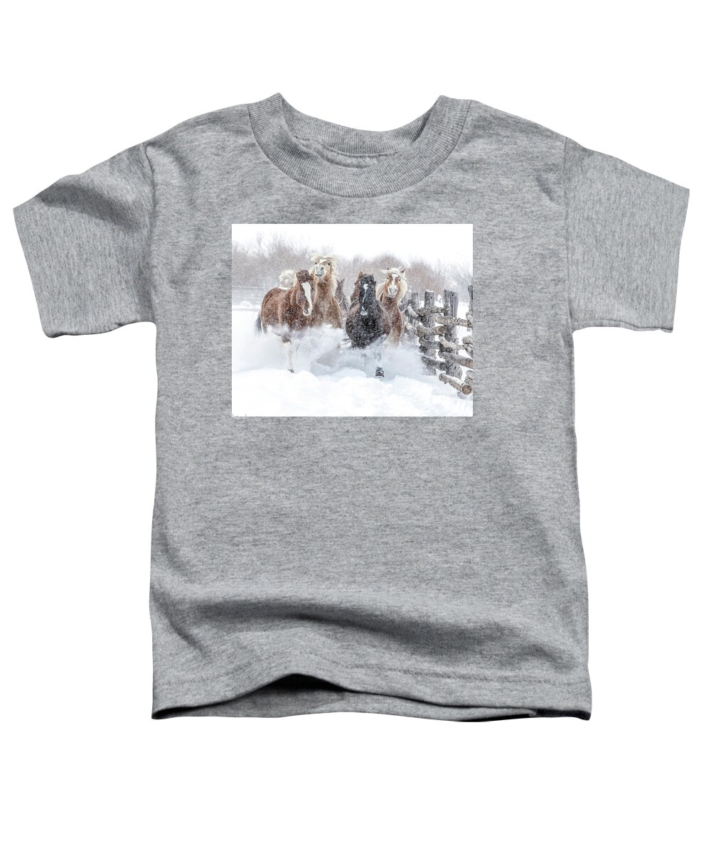 Horse Toddler T-Shirt featuring the photograph Winter Thunderland by Dawn Key
