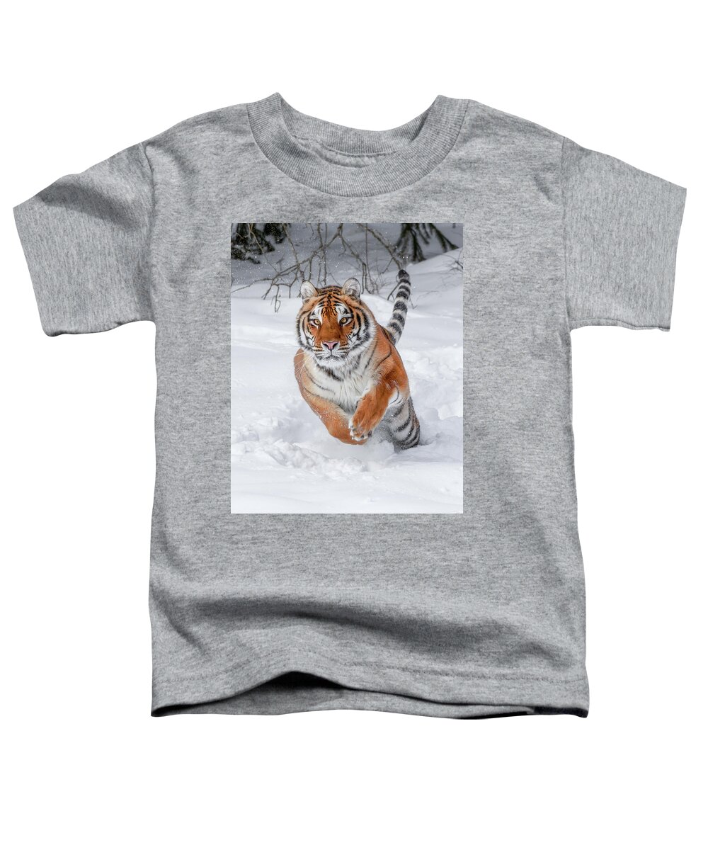 Winter Tiger Toddler T-Shirt featuring the photograph Winter Tiger by Wes and Dotty Weber