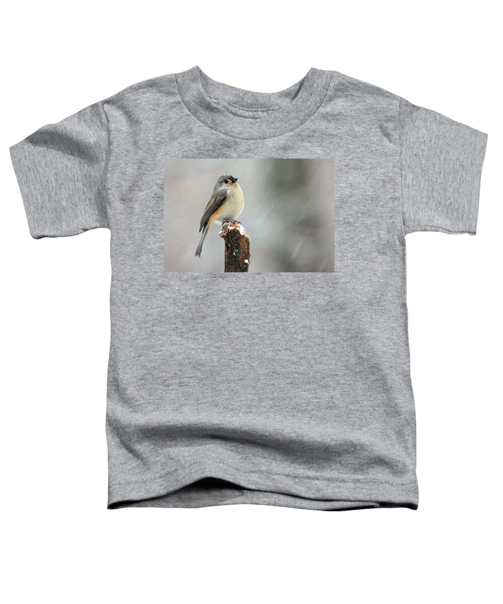 Nature Toddler T-Shirt featuring the photograph Winter Titmouse by Gina Fitzhugh