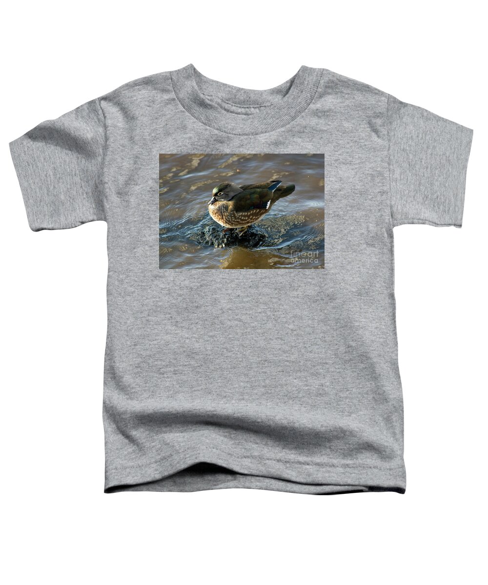 Wood Duck Toddler T-Shirt featuring the photograph Wood Duck Hen on Lake Washington by Sea Change Vibes