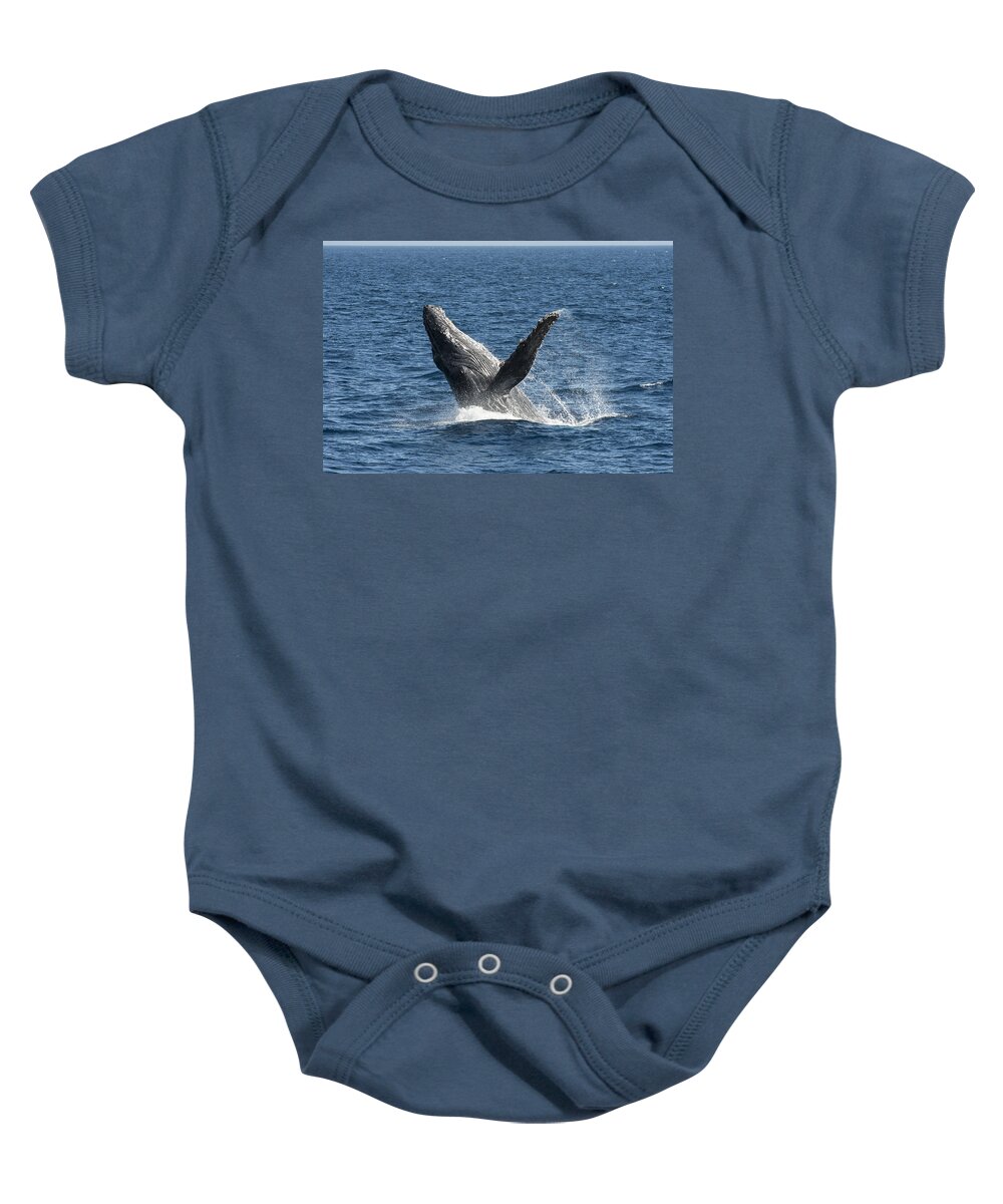 Feb0514 Baby Onesie featuring the photograph Humpback Whale Breaching Maui #1 by Flip Nicklin