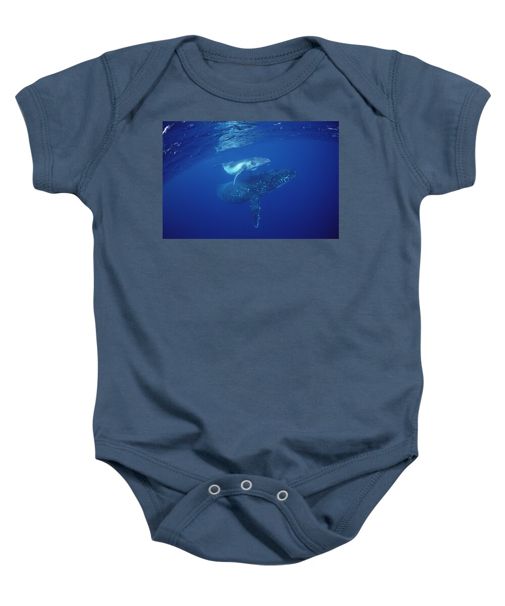 Feb0514 Baby Onesie featuring the photograph Humpback Whale Mother And Calf Tonga by Flip Nicklin