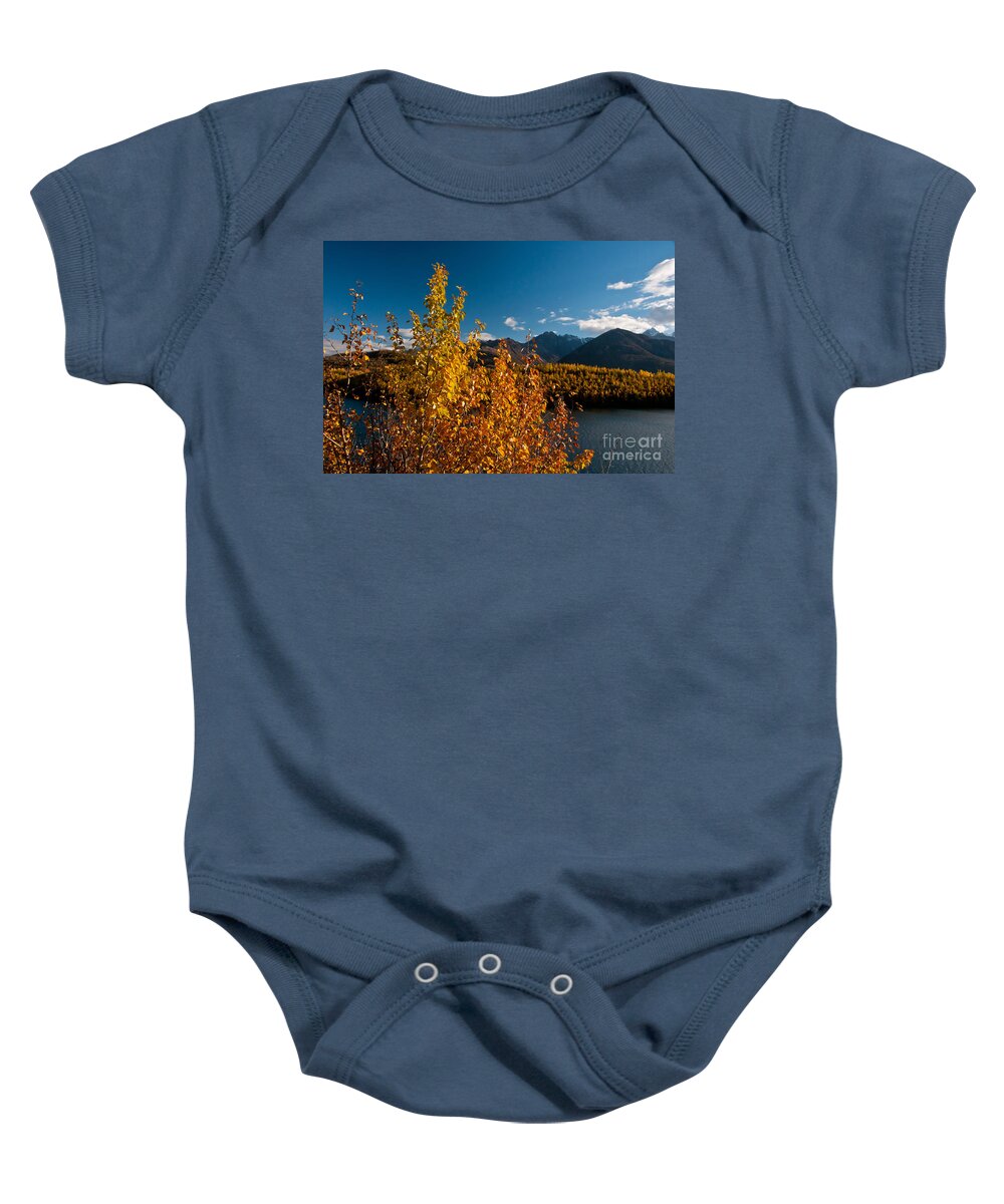 Nature Baby Onesie featuring the photograph Fall Colors, Alaska #2 by Mark Newman