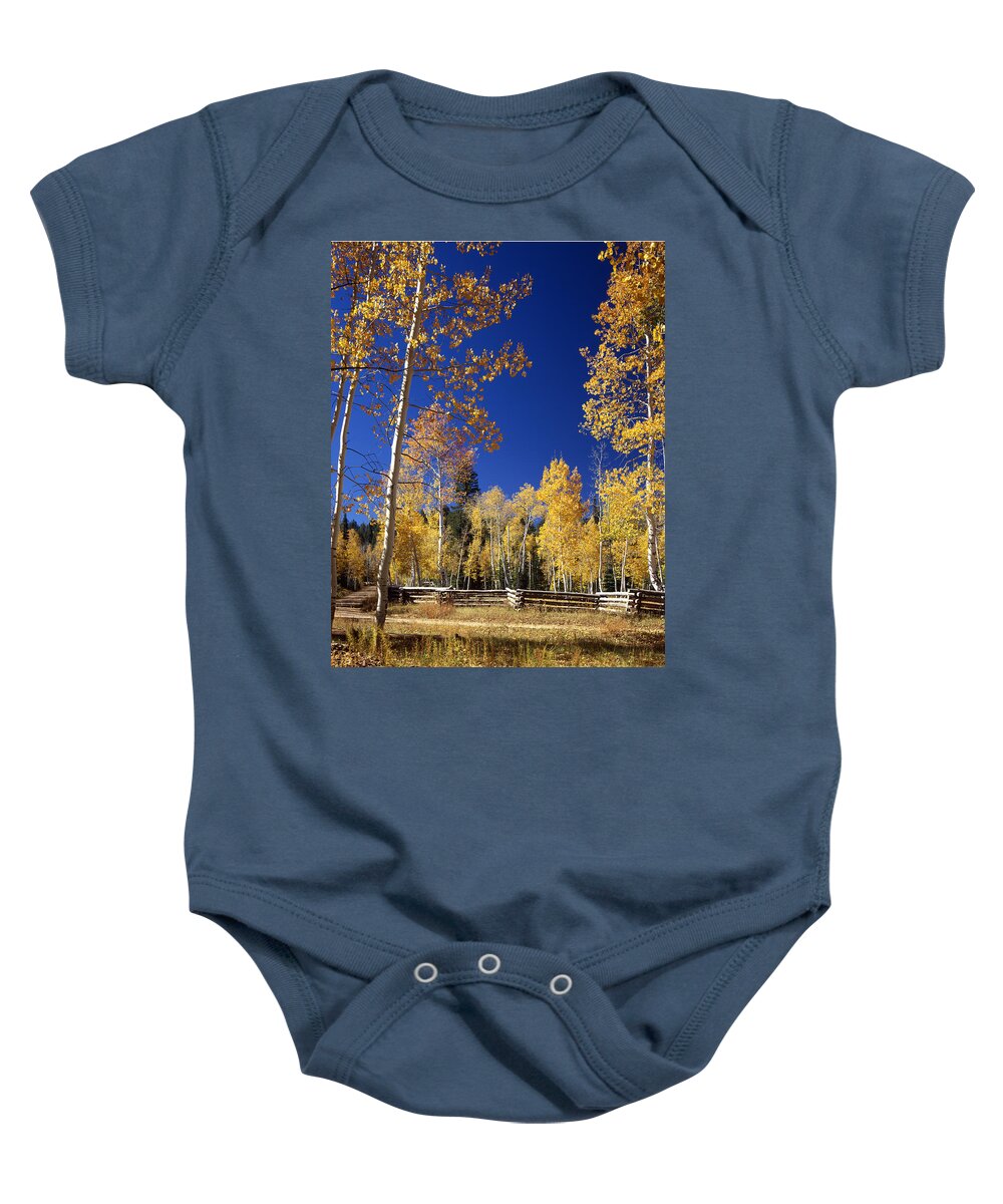 Aspens Baby Onesie featuring the photograph Aspens in Fall - V by Ed Cooper Photography