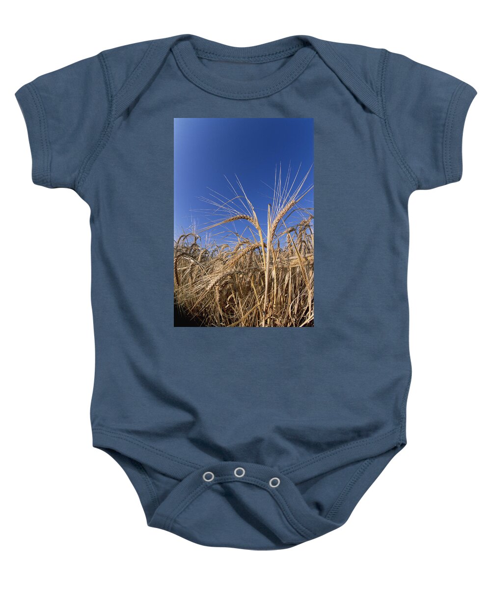 Feb0514 Baby Onesie featuring the photograph Barley Field Germany by Konrad Wothe