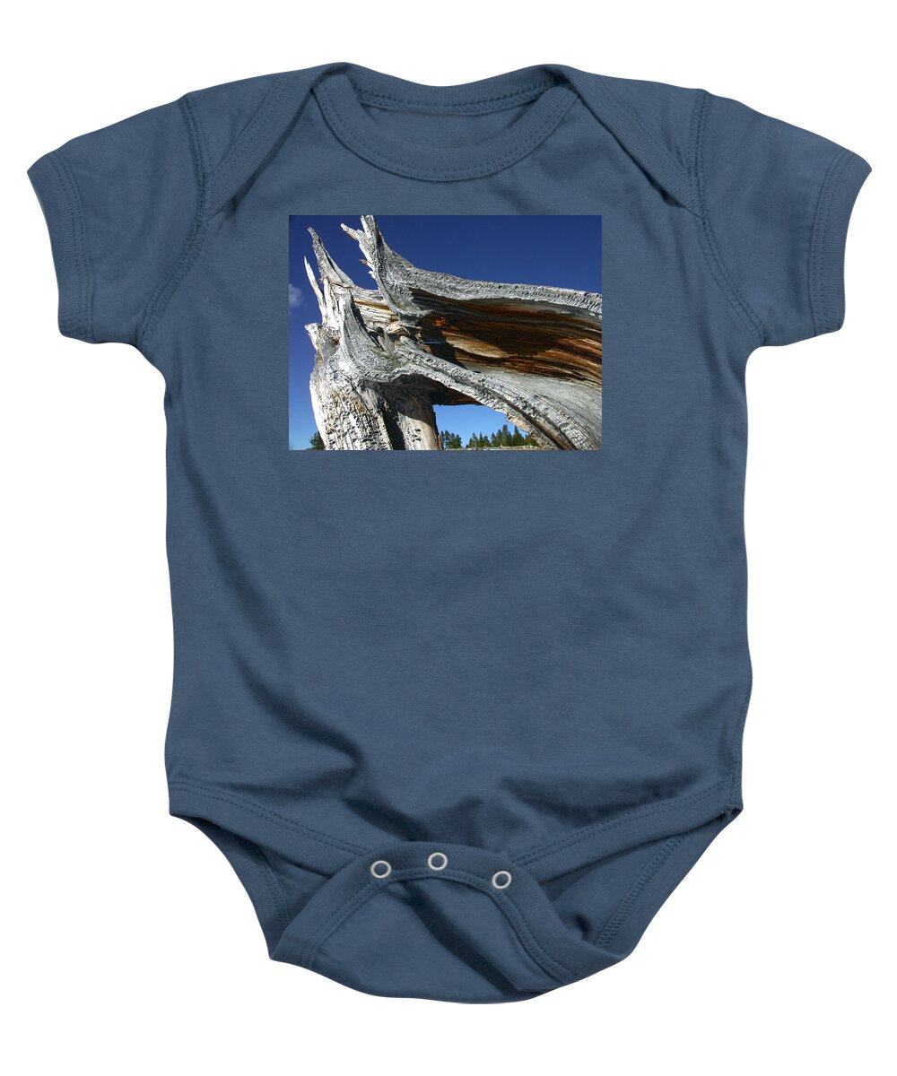 Tree Baby Onesie featuring the photograph Curves by Shane Bechler