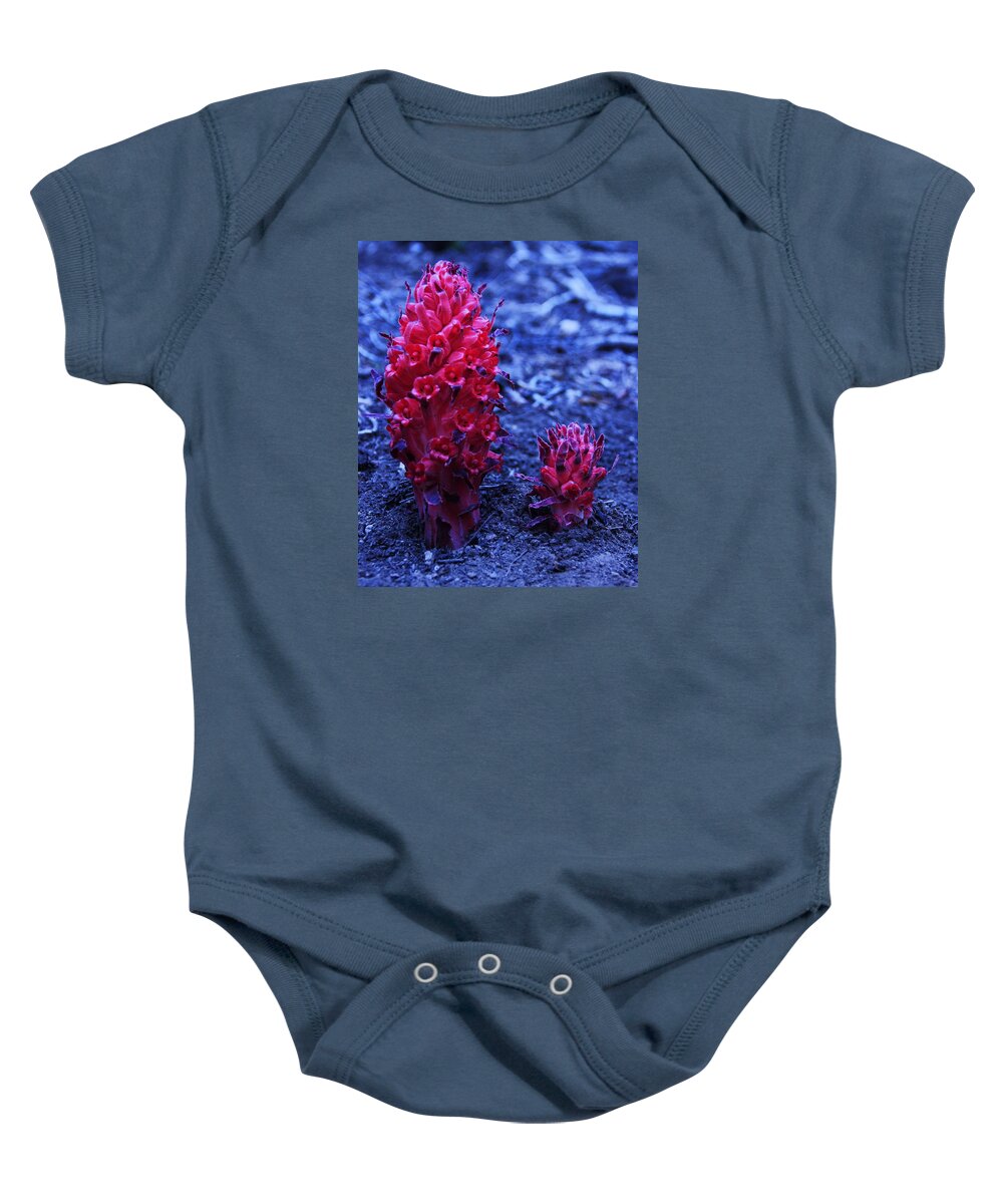 Lake Tahoe Baby Onesie featuring the photograph Father and Son by Sean Sarsfield