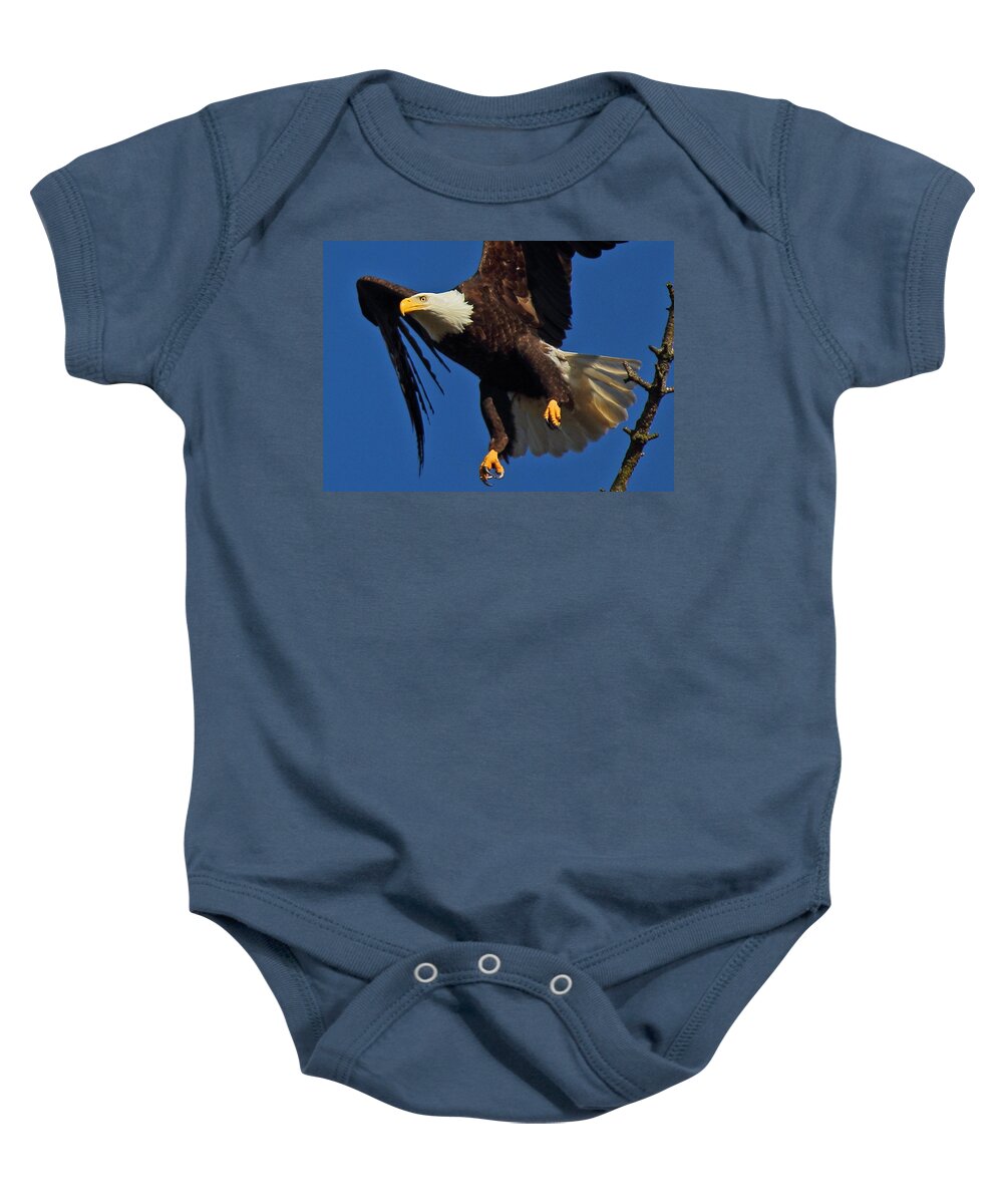 Bald Eagle Baby Onesie featuring the photograph Fly By by Randy Hall