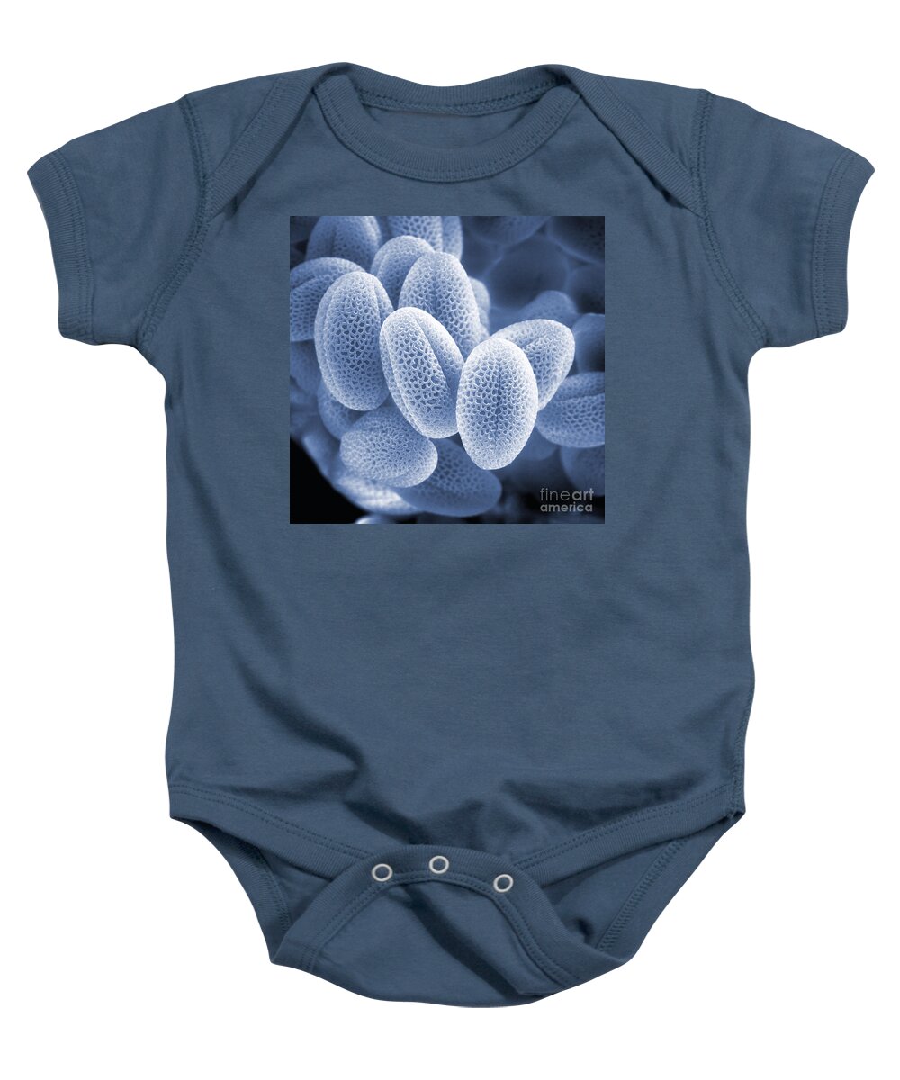 Cell Baby Onesie featuring the photograph Grass Pollen Sem by David M. Phillips