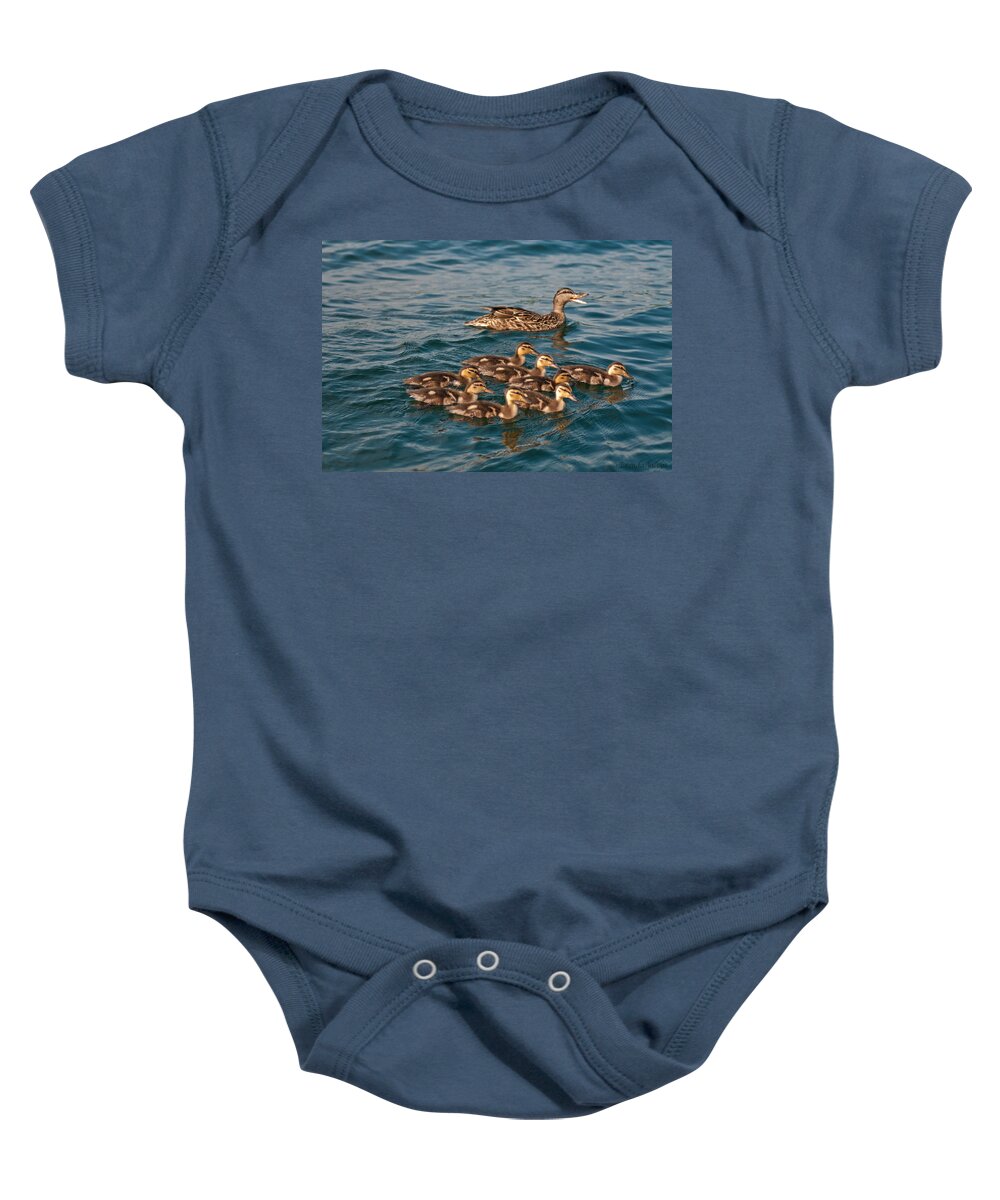 Ducks Baby Onesie featuring the photograph Keeping Them All Inline by Brenda Jacobs