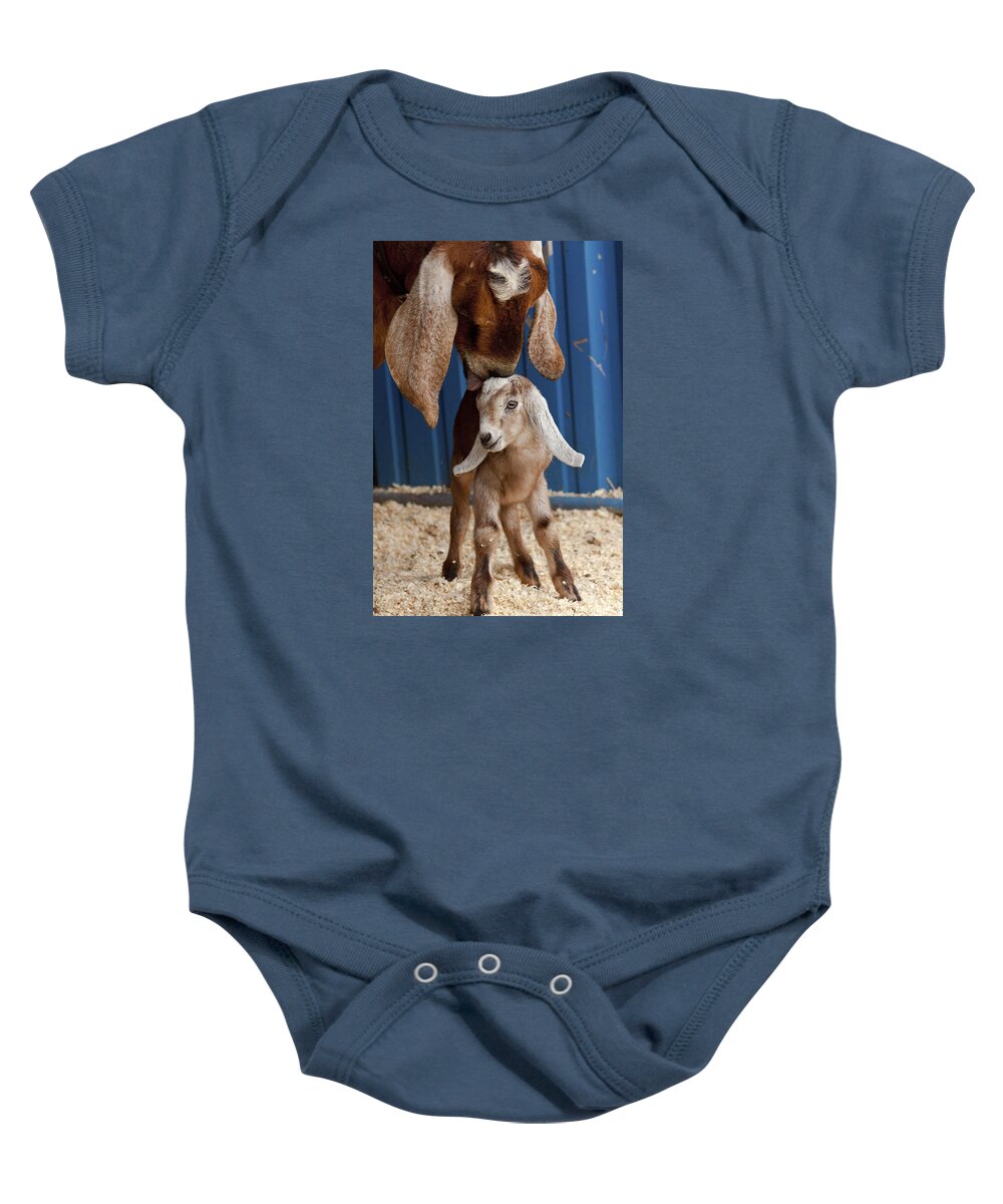 Goat Baby Onesie featuring the photograph Licked Clean by Caitlyn Grasso