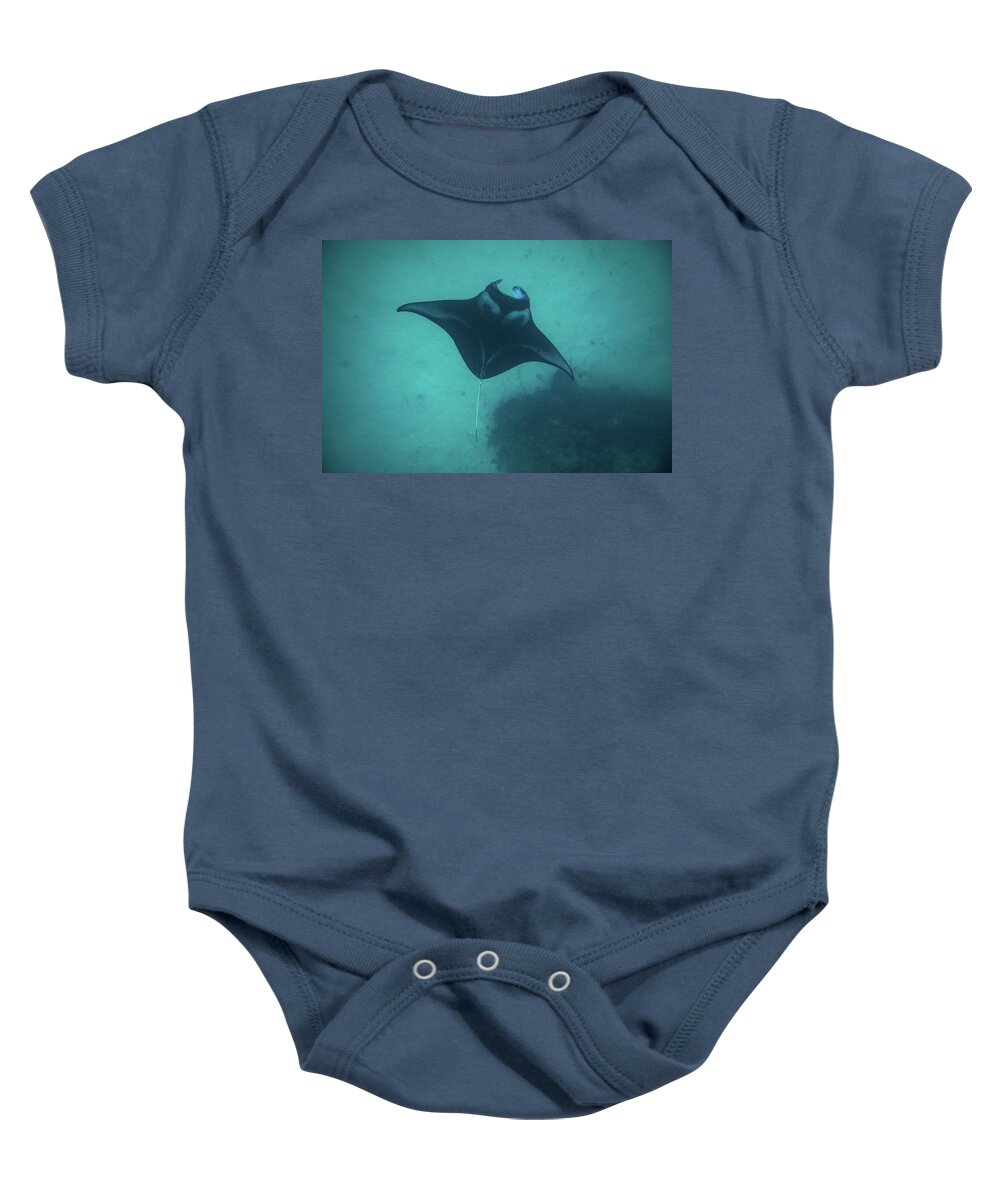 Photography Baby Onesie featuring the photograph Manta Ray Swimming In The Pacific by Panoramic Images