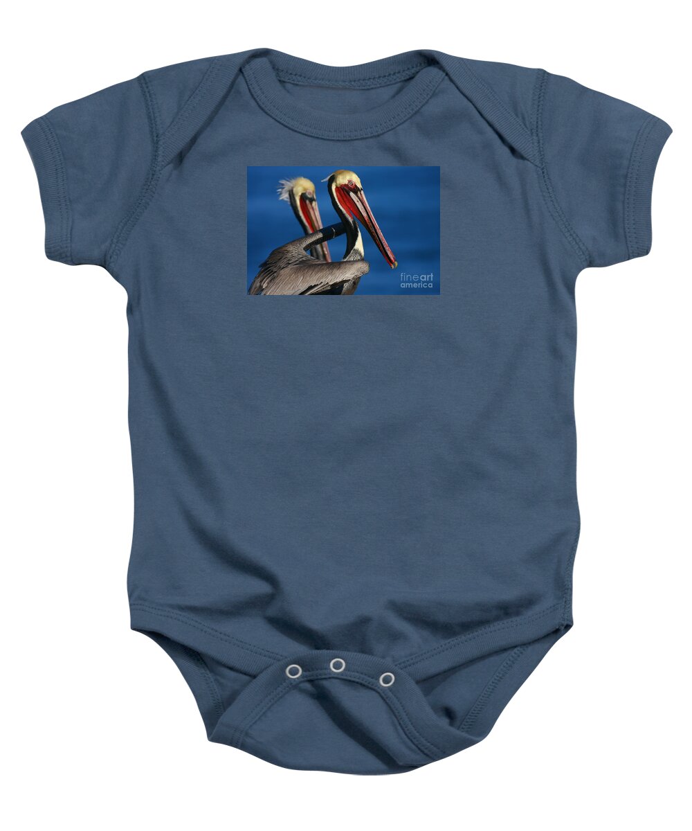 Landscapes Baby Onesie featuring the photograph La Jolla Pelicans In Waves by John F Tsumas