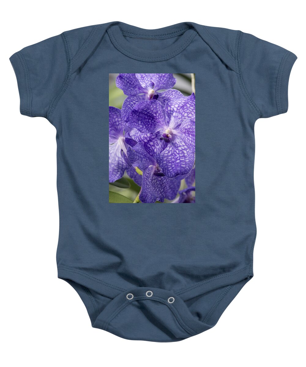 Orchids Baby Onesie featuring the photograph Purple orchids by Elena Perelman