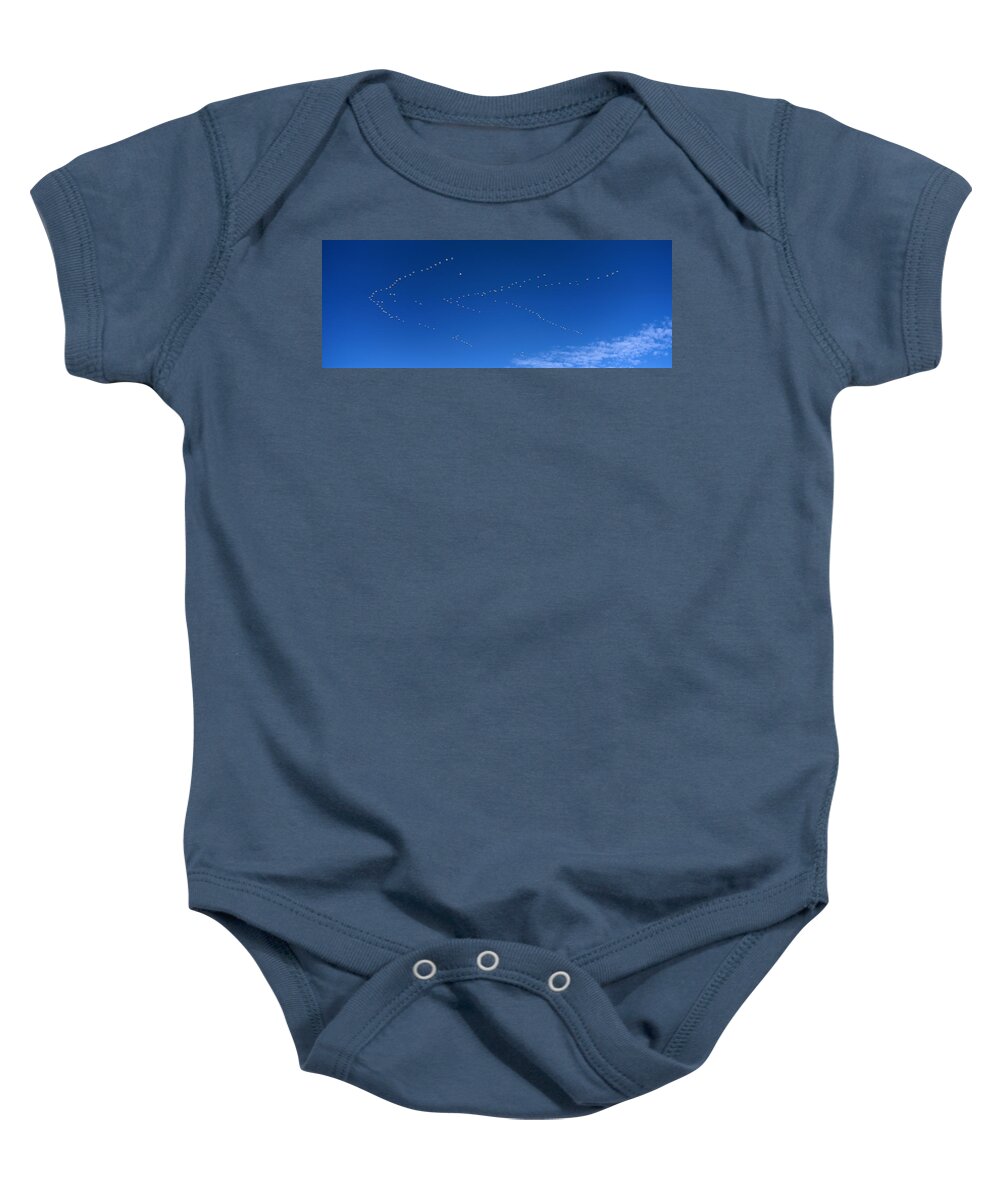 Feb0514 Baby Onesie featuring the photograph Snow Goose Flock Migrating Bosque Del by Konrad Wothe