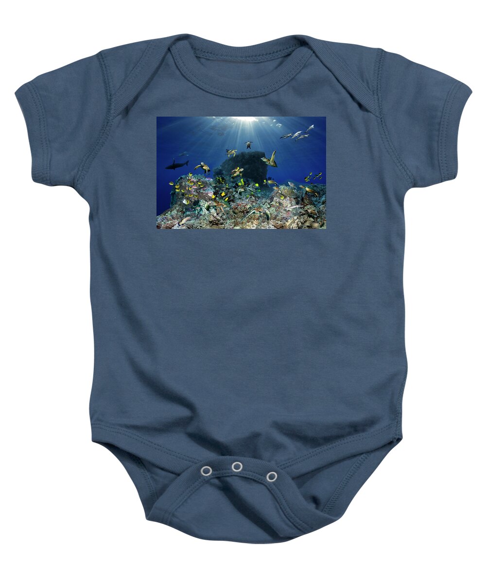 Marine Baby Onesie featuring the photograph Turtle pinnacle by Artesub