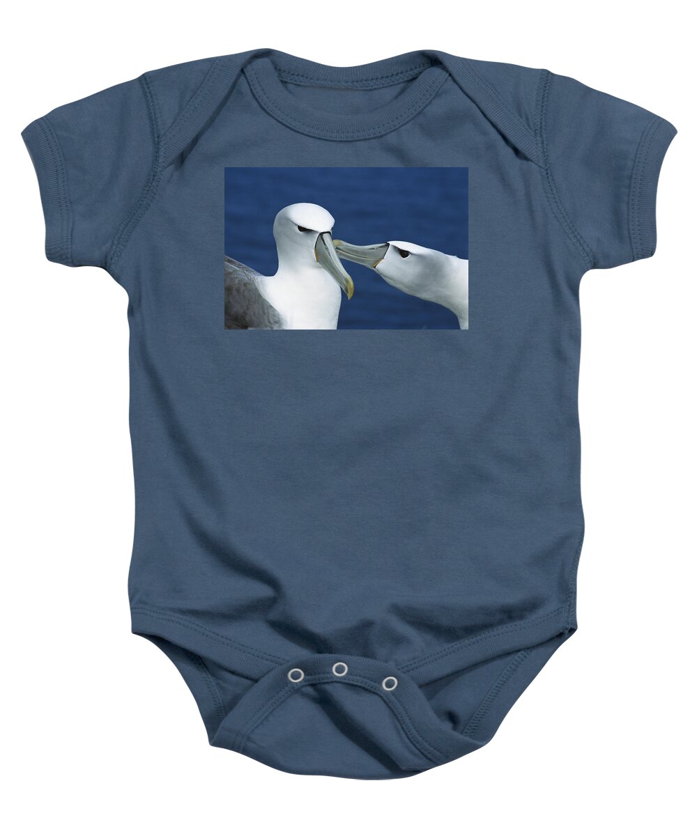 00142939 Baby Onesie featuring the photograph White-capped Albatrosses Courting by Tui De Roy