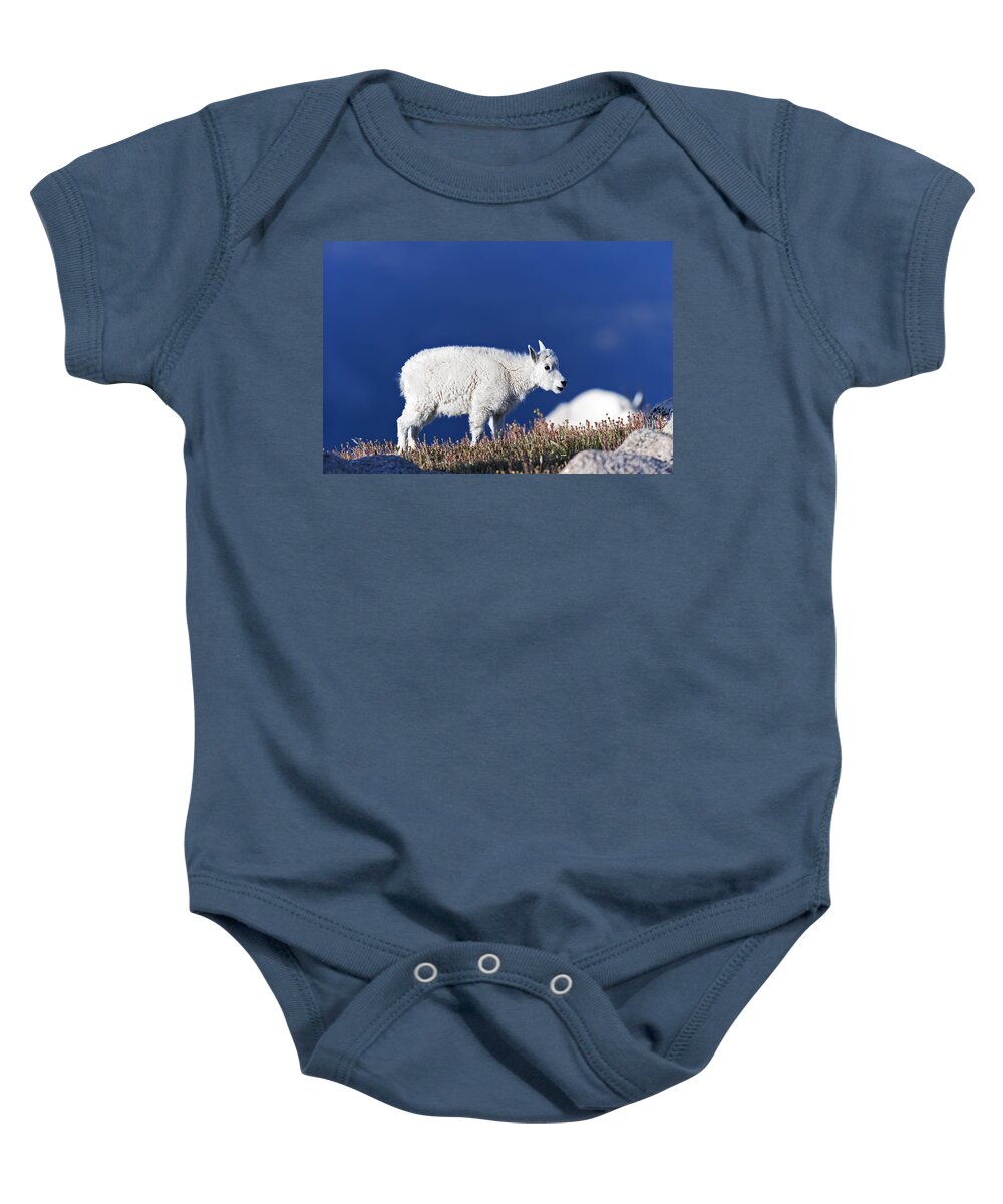 Young Baby Onesie featuring the photograph Young Mountain Goat by Gary Langley