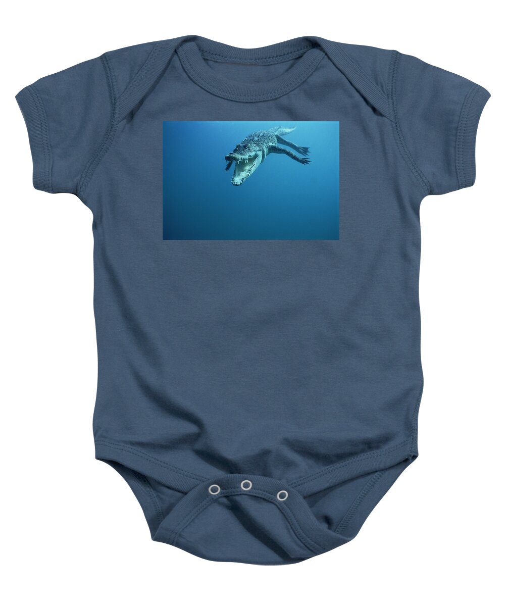 00700396 Baby Onesie featuring the photograph Saltwater Crocodile Crocodylus Porosus by Mike Parry