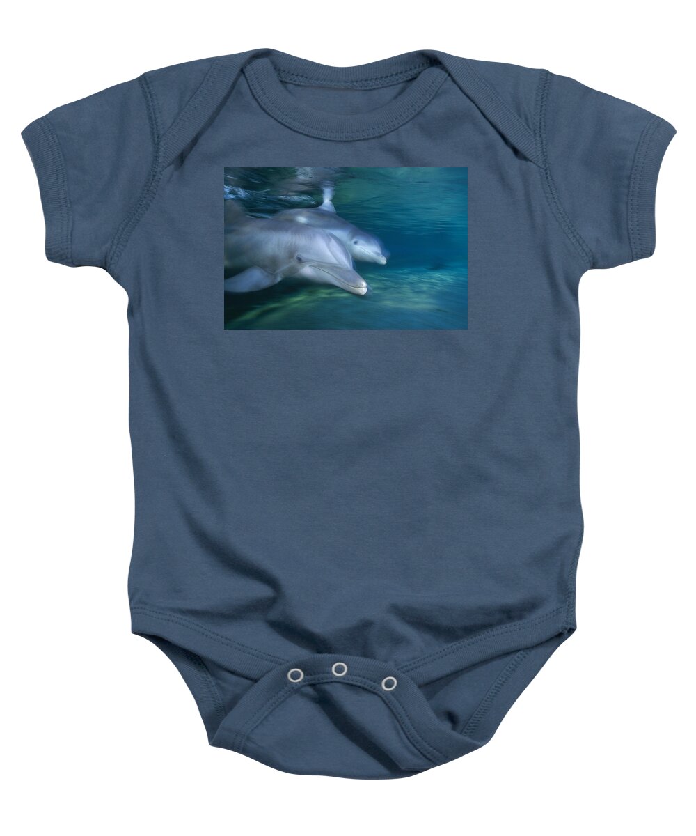 00126114 Baby Onesie featuring the photograph Bottlenose Dolphin Pair Hawaii by Flip Nicklin