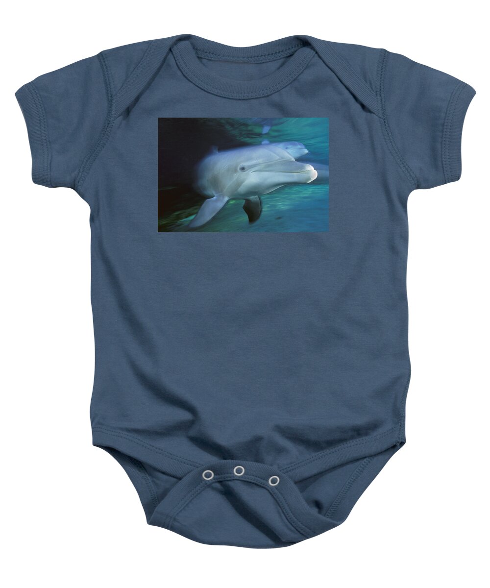 00127180 Baby Onesie featuring the photograph Bottlenose Dolphin Pair Swimming Hawaii by Flip Nicklin