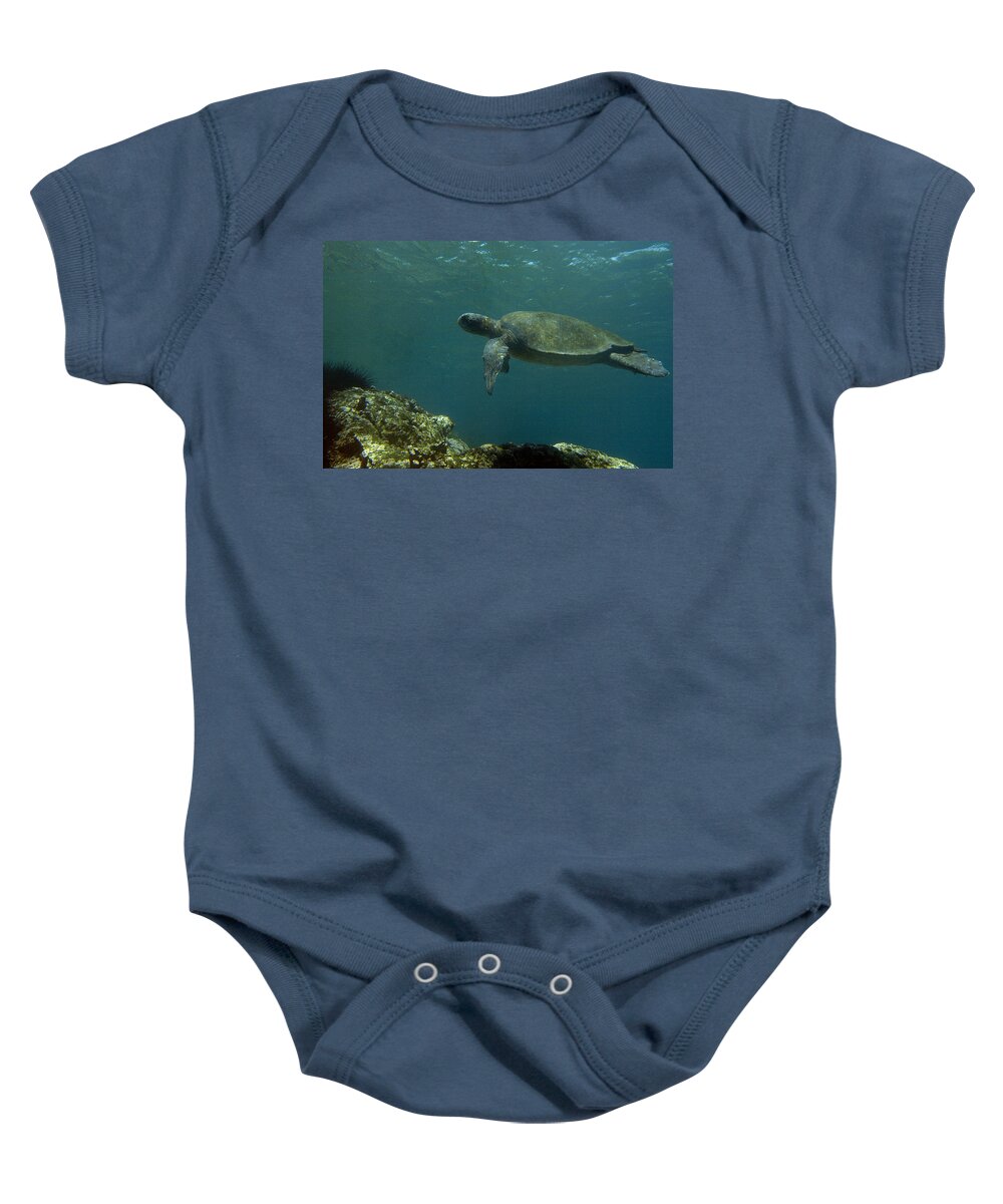 Mp Baby Onesie featuring the photograph Pacific Green Sea Turtle Chelonia Mydas by Pete Oxford