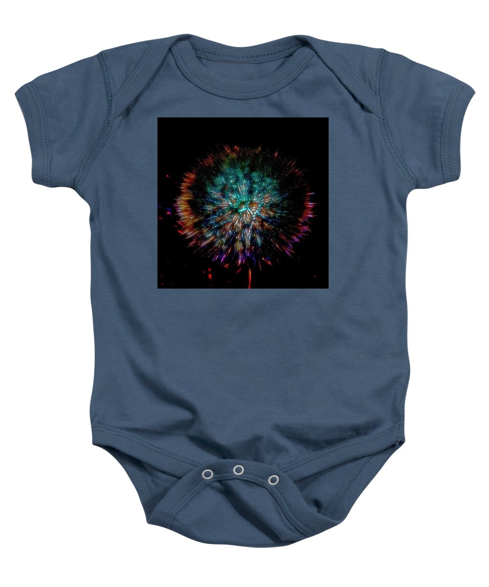 Mountain Baby Onesie featuring the photograph Mountain Dandelion #2 by Hugh Smith