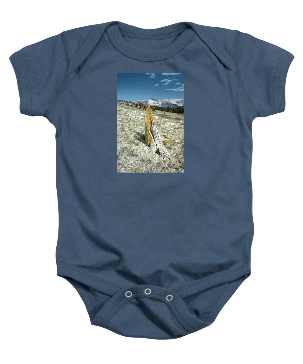 The Walkers Baby Onesie featuring the photograph Aged to Perfection by The Walkers
