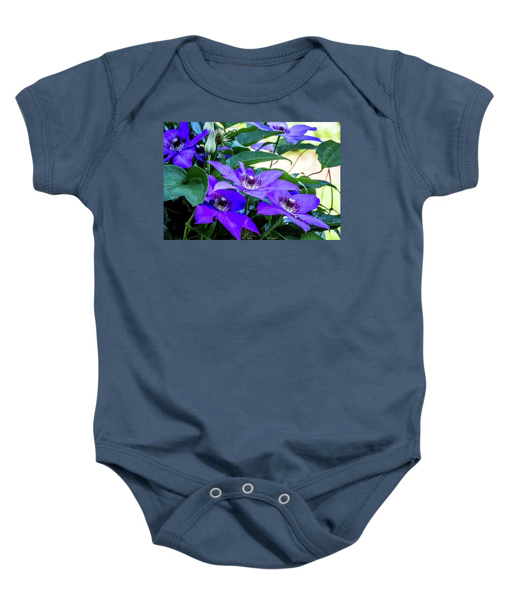 Flower Baby Onesie featuring the digital art Clematis Magnificence by Ed Stines