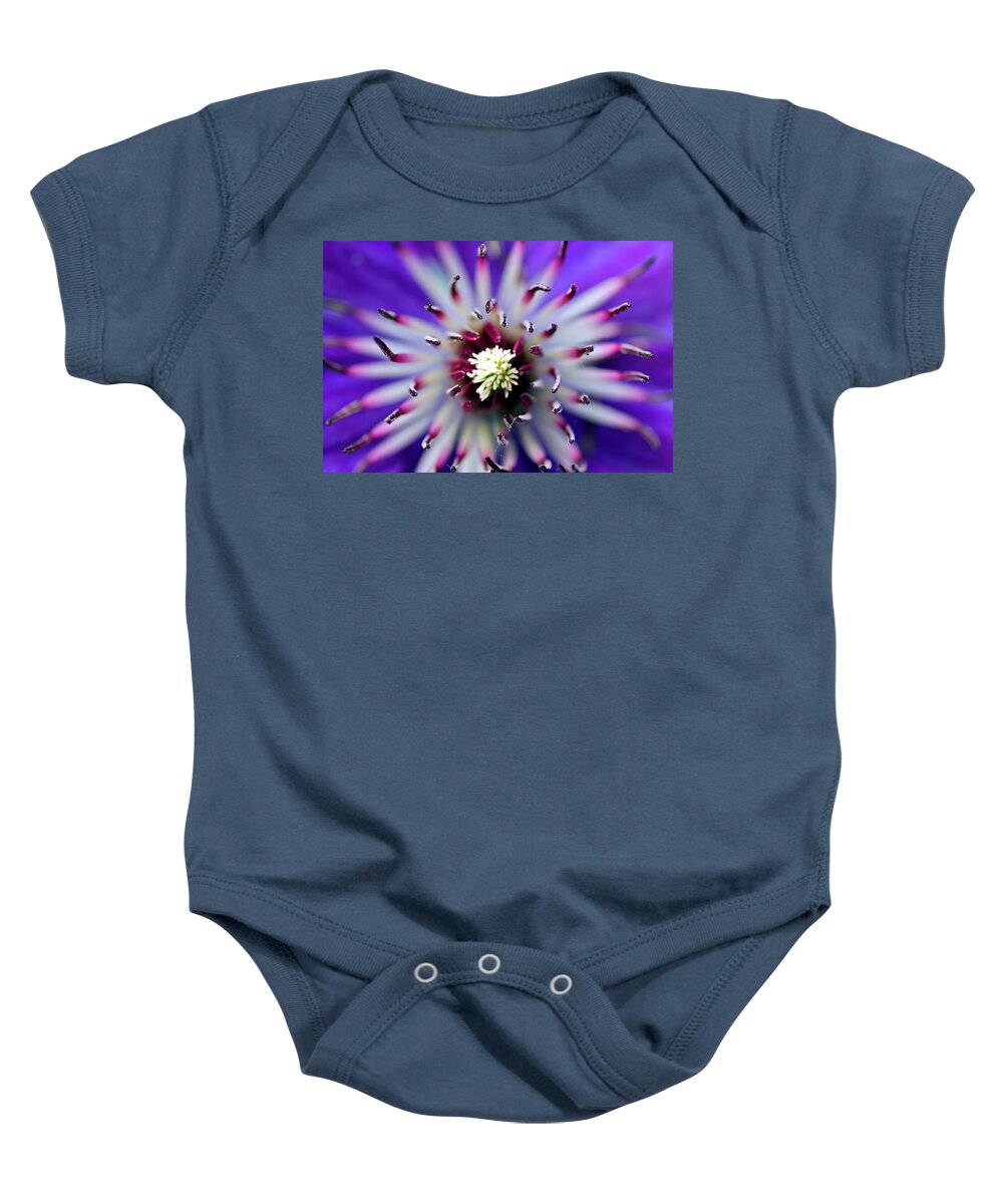 Clematis Baby Onesie featuring the photograph Clematis x jackmanii by Jarmo Honkanen
