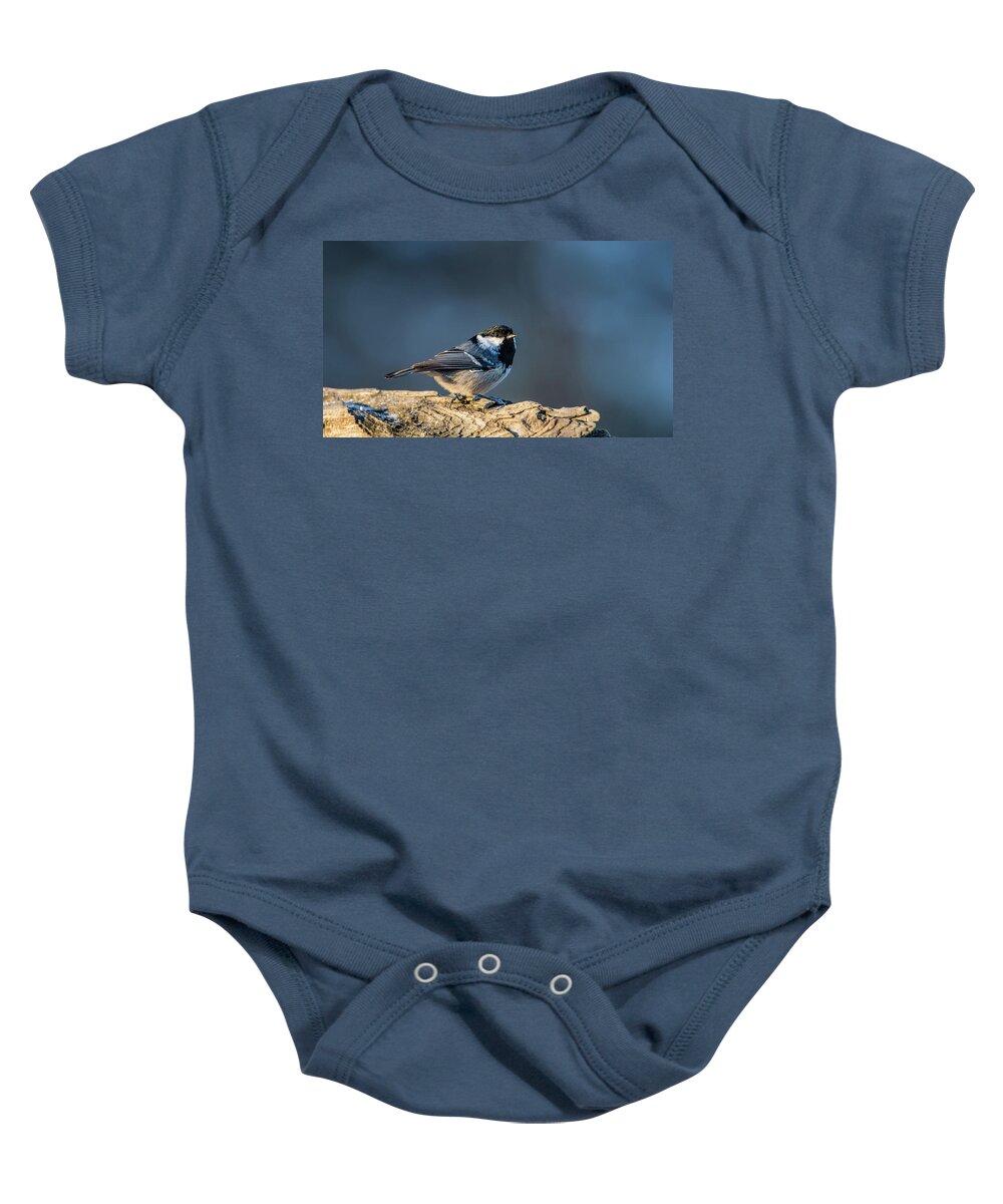 Coal Tit Baby Onesie featuring the photograph Coal Tit's Colors by Torbjorn Swenelius
