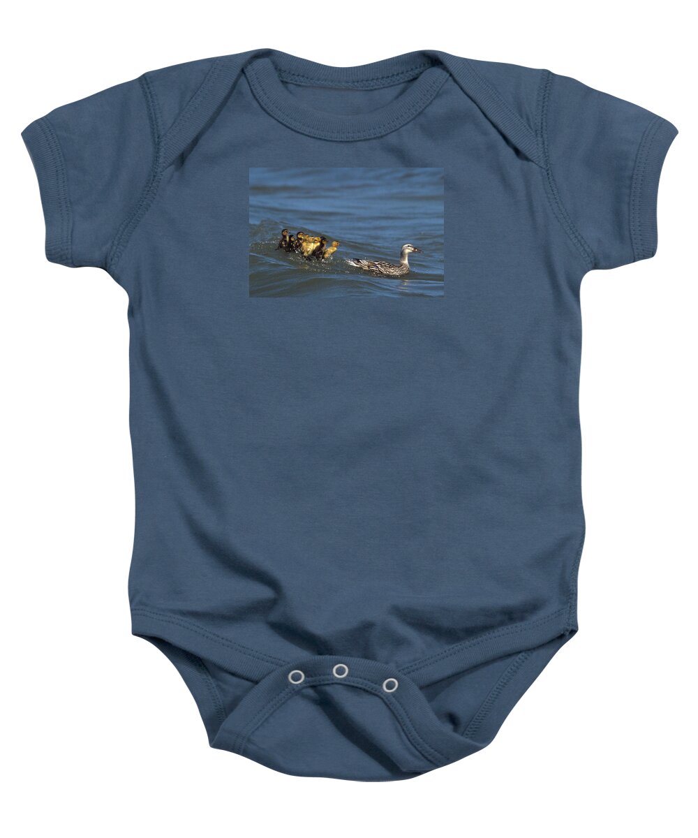 Distressed Ducklings Baby Onesie featuring the photograph Don't Bother Mother by John Harmon