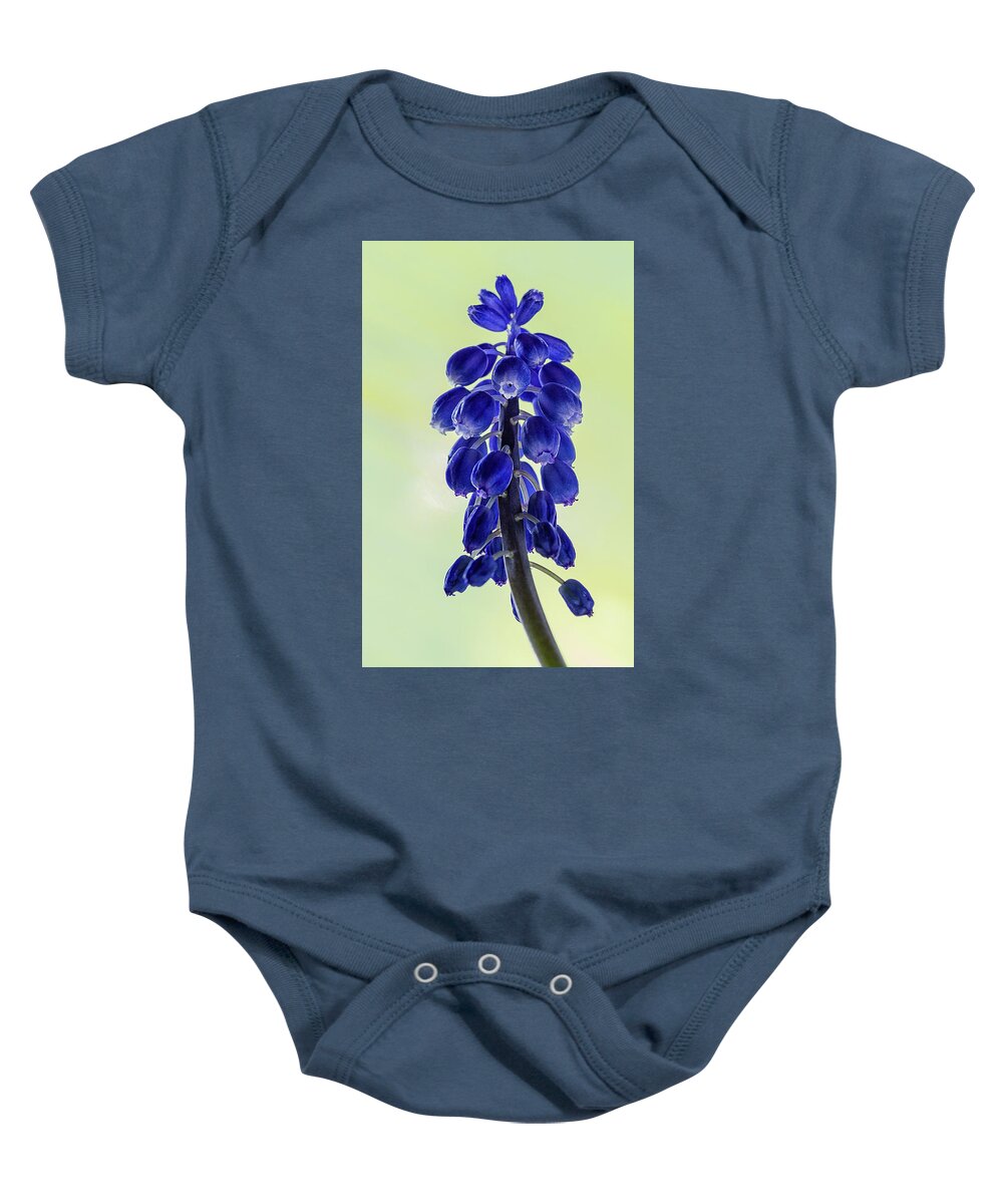 Flower Baby Onesie featuring the photograph Grape Hyacinth by Shirley Mitchell