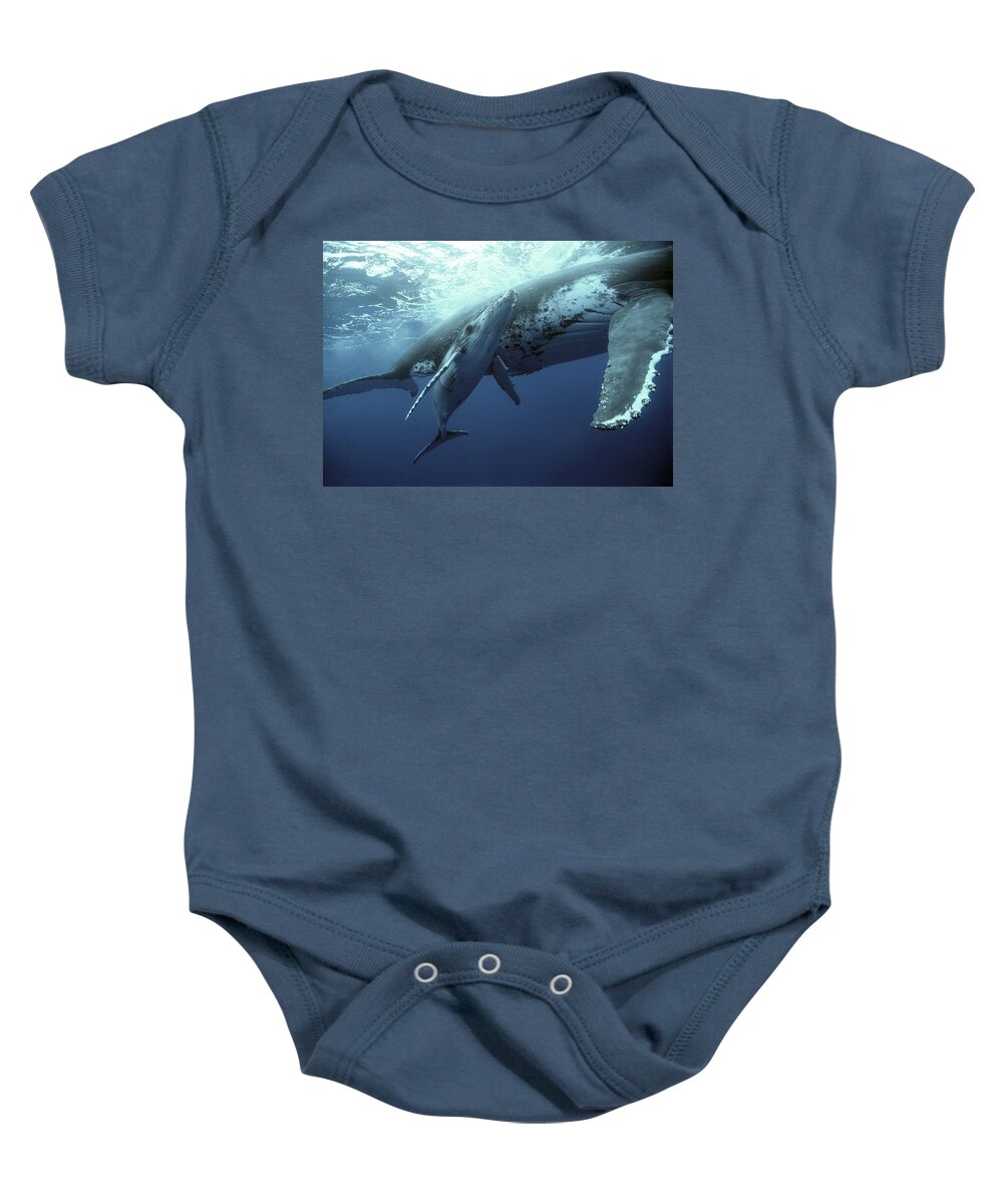 00700233 Baby Onesie featuring the photograph Humpback Whale and Calf by Mike Parry