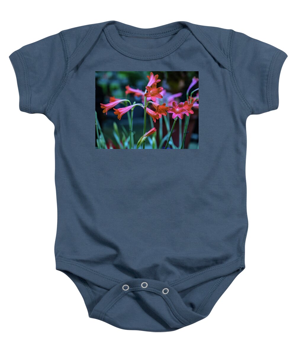Flower Show 2018 Baby Onesie featuring the photograph Pink Flowers by Louis Dallara
