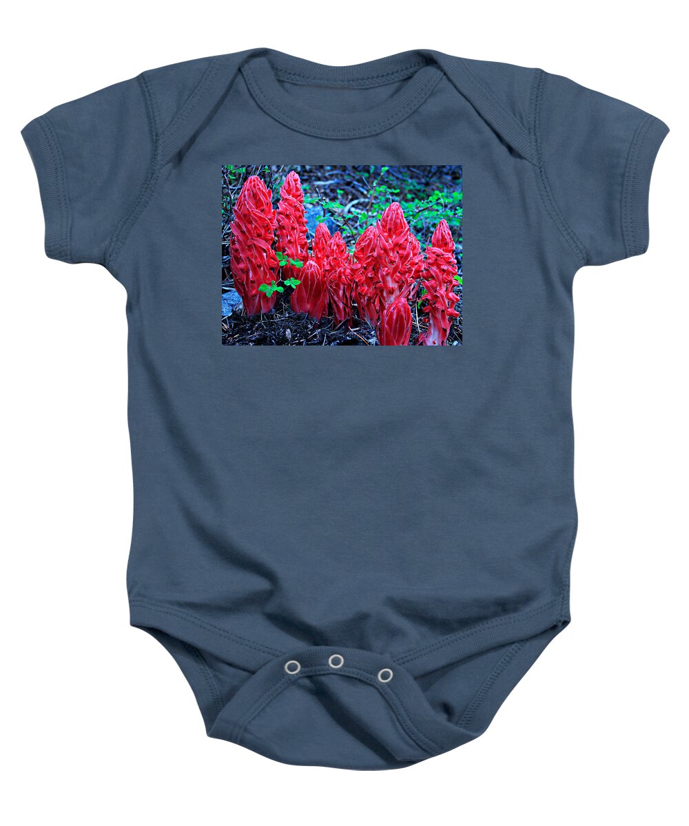 Lake Tahoe Baby Onesie featuring the photograph Snowflower Pow Wow by Sean Sarsfield