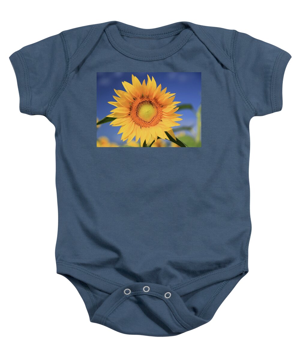 Photosbymch Baby Onesie featuring the photograph Sunflower by M C Hood