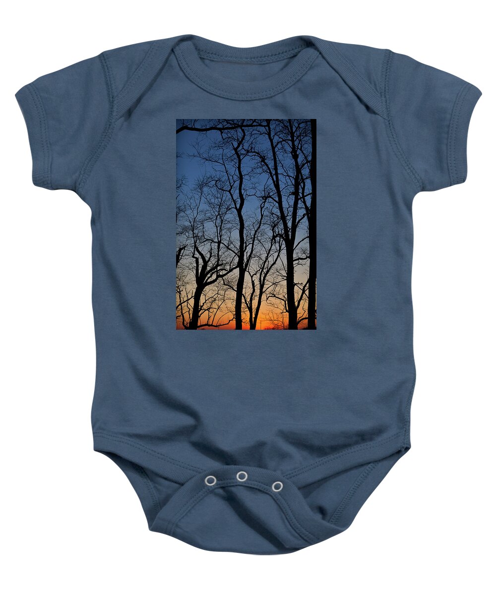 Tree Baby Onesie featuring the photograph Sunset Silhouette by Steve Gadomski