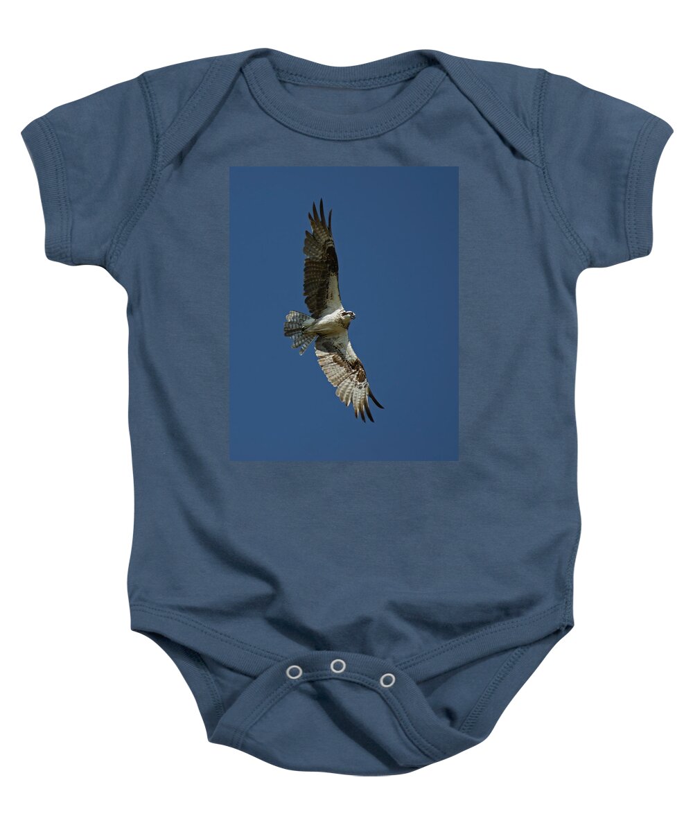 Birds Baby Onesie featuring the photograph The Osprey by Ernest Echols