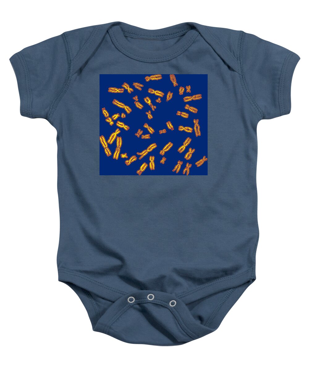 Chromosome Baby Onesie featuring the photograph Human Chromosomes #5 by Biophoto Associates