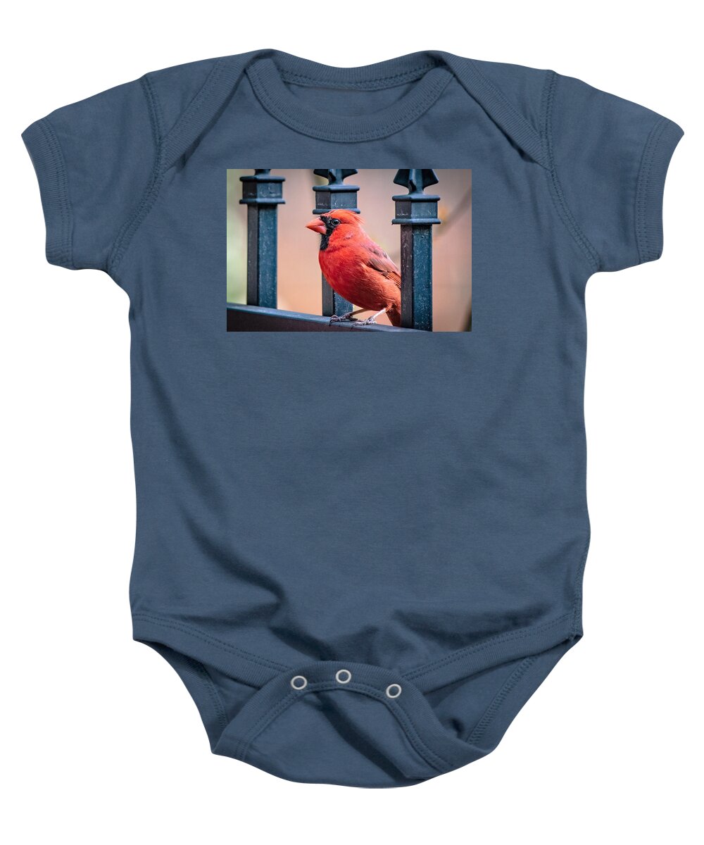 Male Cardinal Baby Onesie featuring the photograph Male Cardinal Portrait by Mary Ann Artz