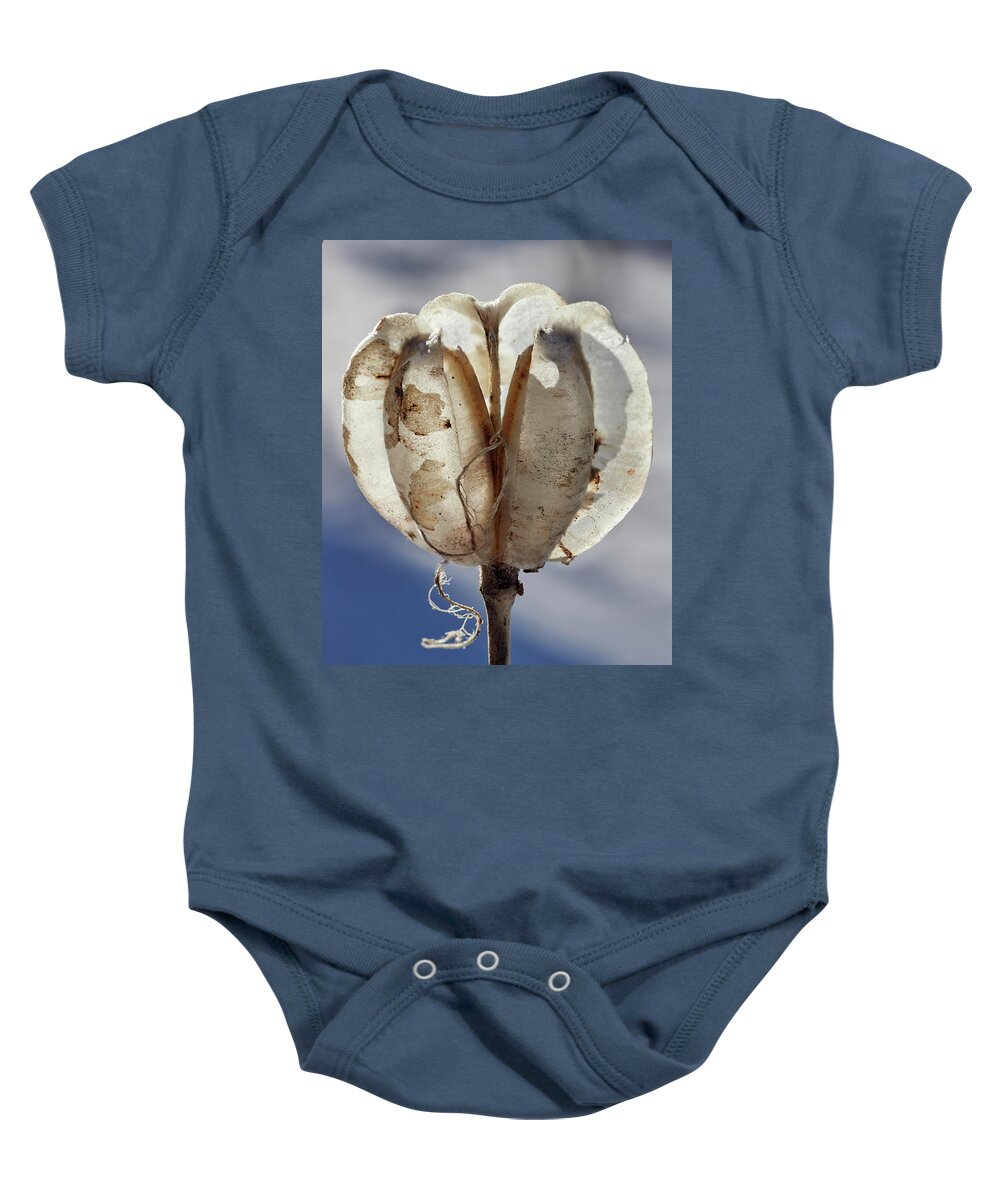 Finland Baby Onesie featuring the photograph Remember the summer. Seedcase of the Martagon lily by Jouko Lehto