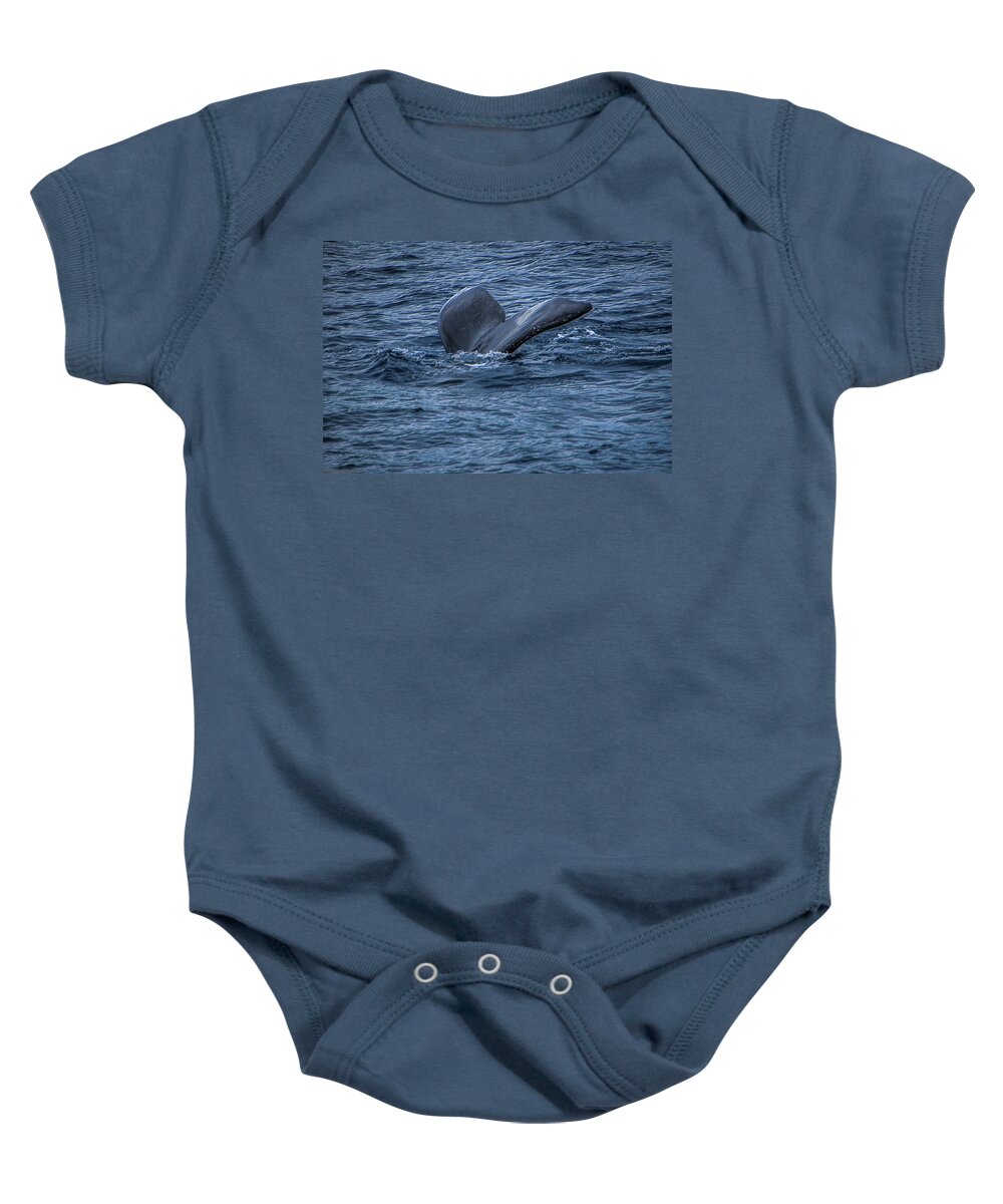 Hawaii Baby Onesie featuring the photograph Whale of a Tail by G Lamar Yancy
