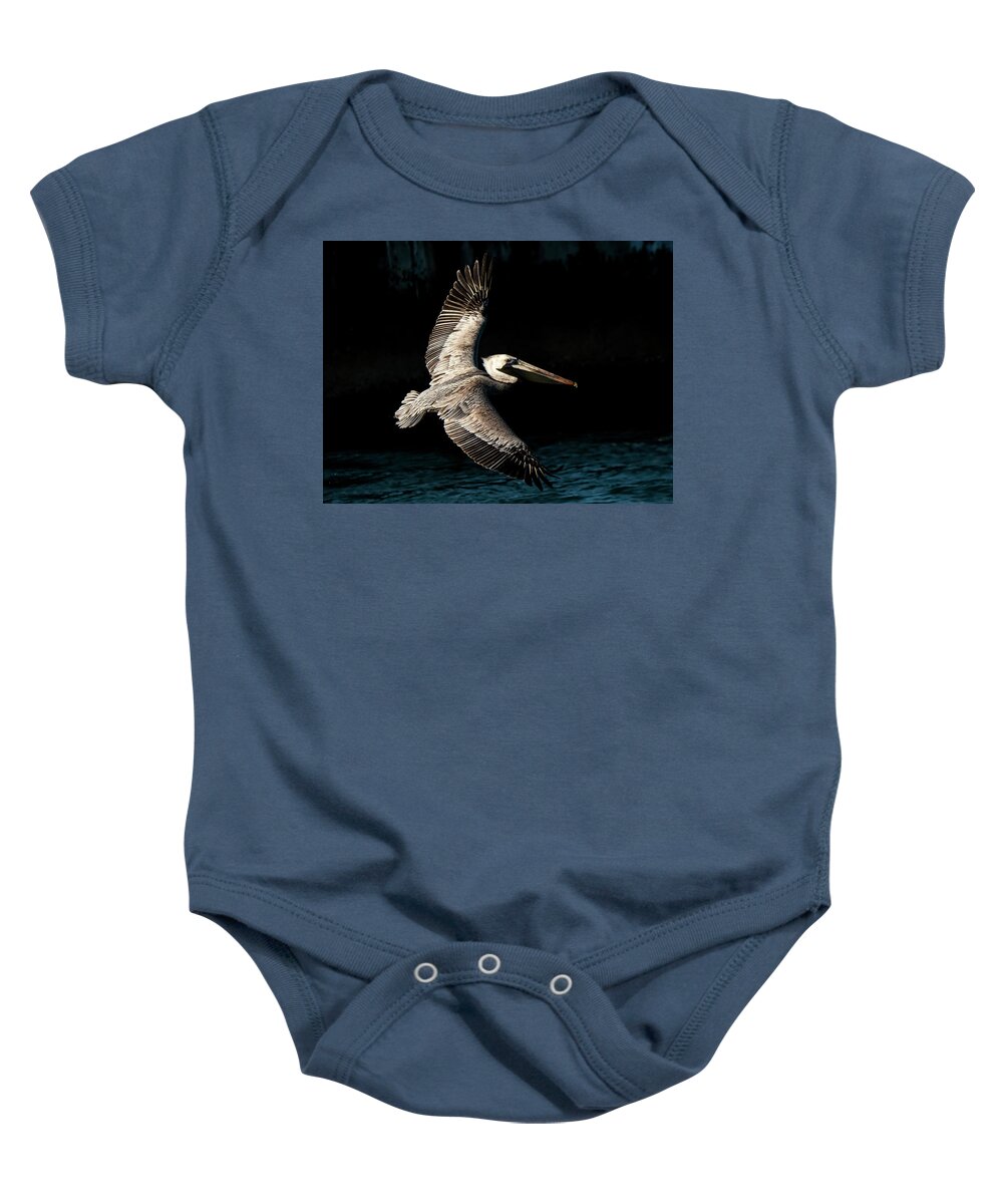Male Brown Pelican In-flight Baby Onesie featuring the photograph Against The Seawall by Don Durfee