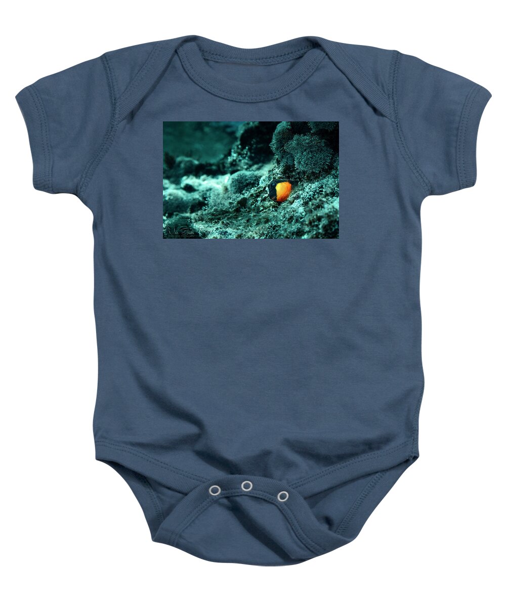 Blenny Baby Onesie featuring the photograph Golden Cheek Blenny by Meir Ezrachi