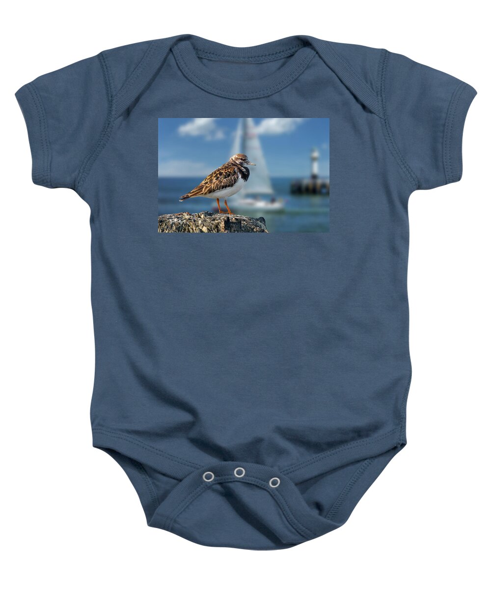 Ruddy Turnstone Baby Onesie featuring the photograph Ruddy Turnstone in Harbour by Arterra Picture Library