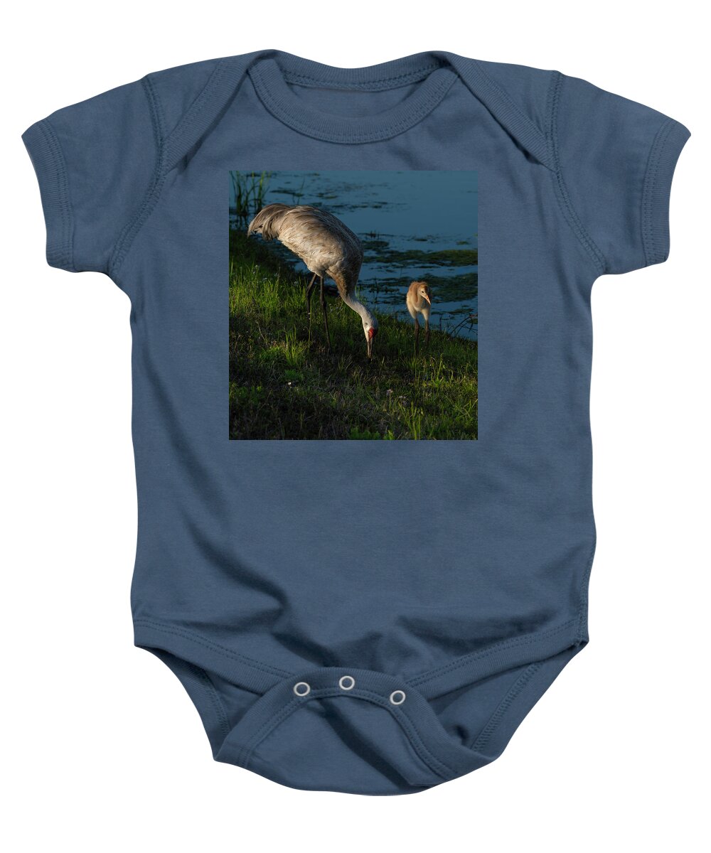 Birds Baby Onesie featuring the photograph Sandhill Crane by Larry Marshall