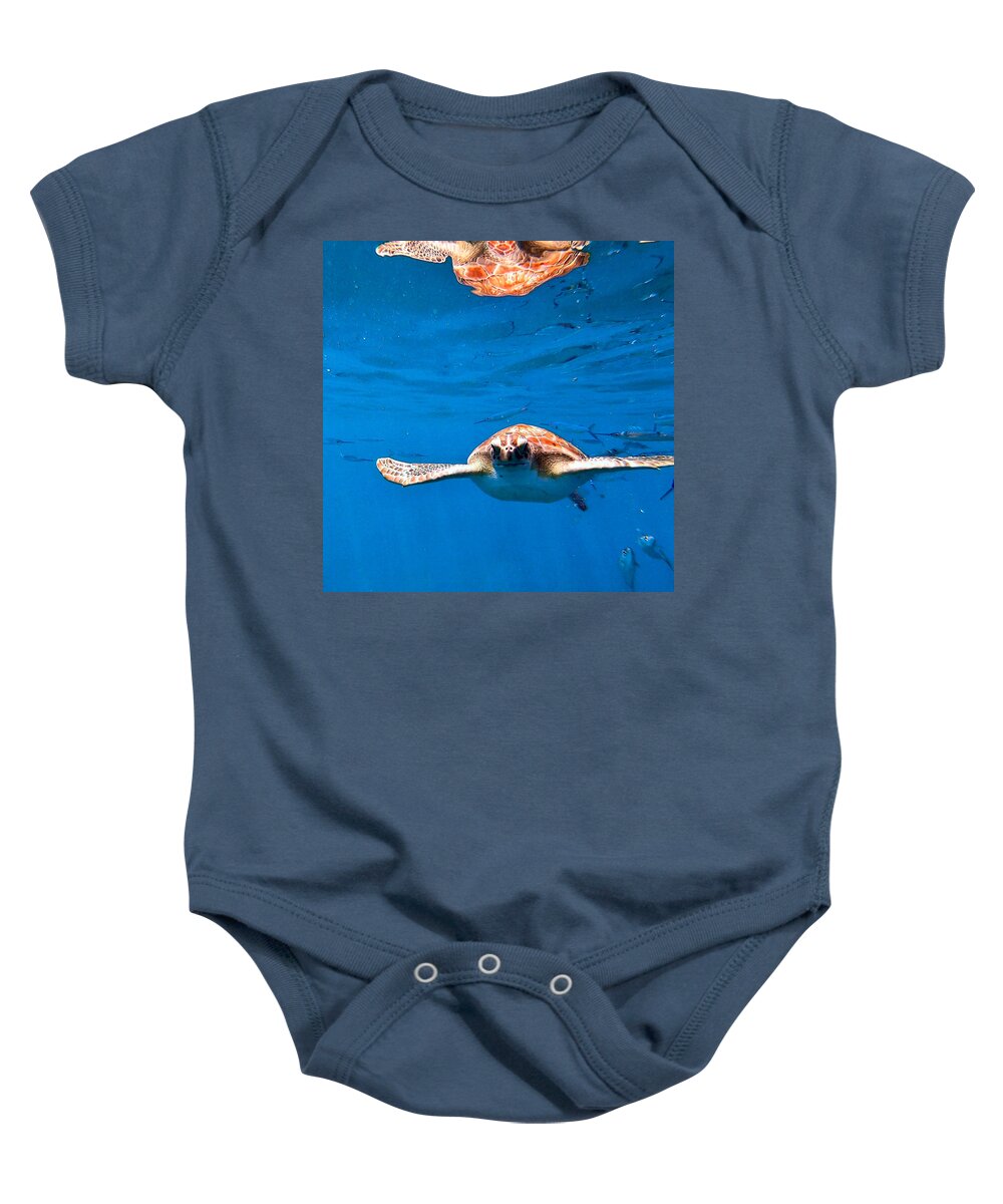 Turtle Baby Onesie featuring the photograph Searching for Nemo by Devin Wilson