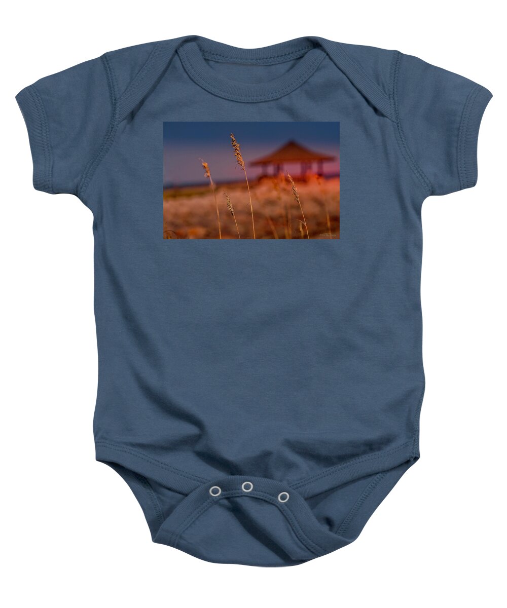 Coastal Carolina; North Carolina; Places; Kure Beach Nc; Grass; Reed; Building; Architecture; Gazebo Baby Onesie featuring the photograph Summer Breeze by TruImages Photography